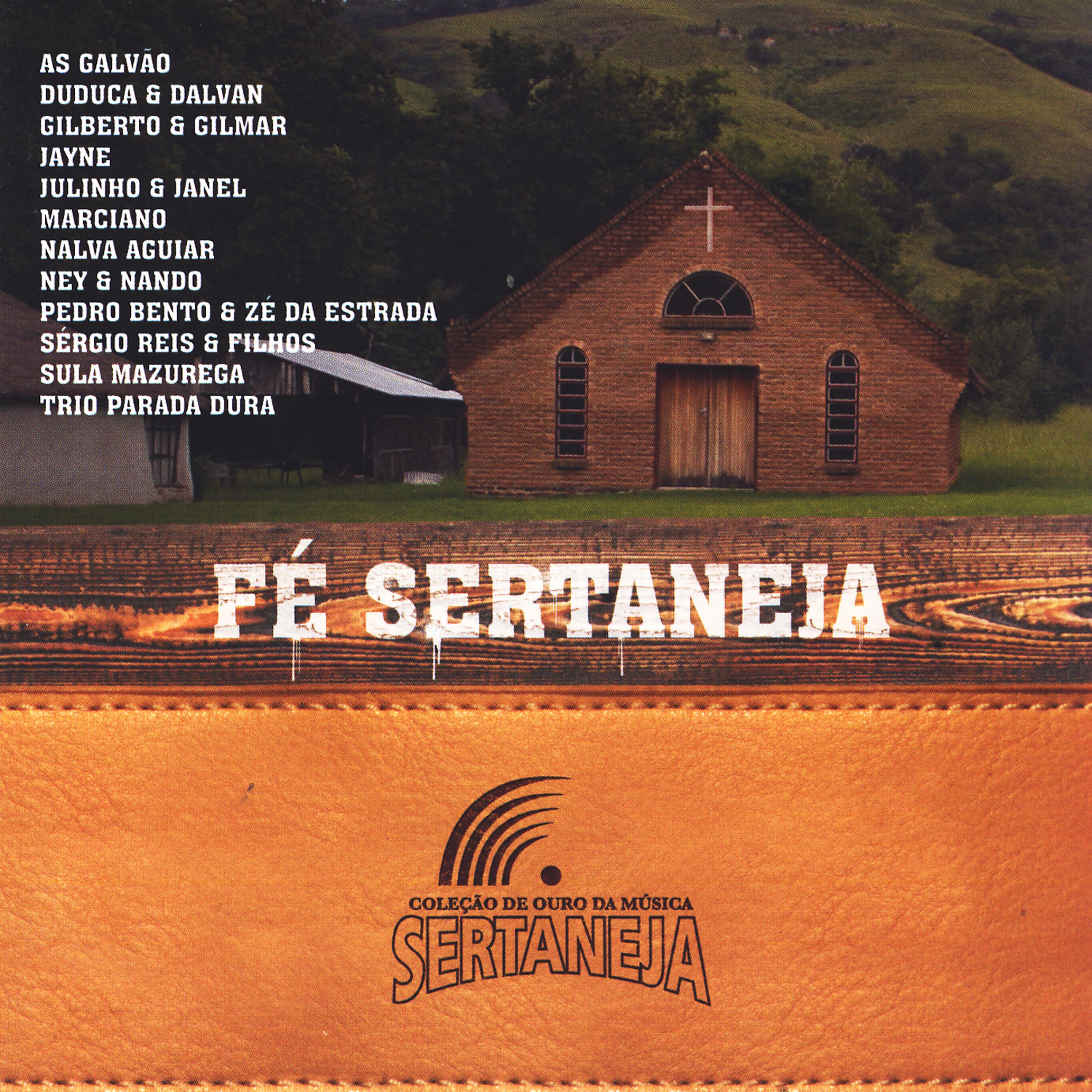 Постер альбома Fé Sertaneja