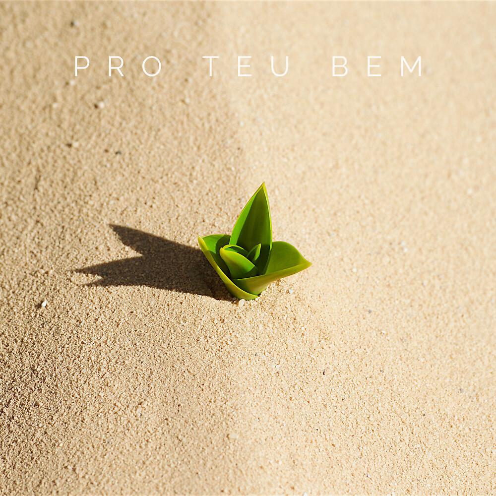 Постер альбома Pro Teu Bem