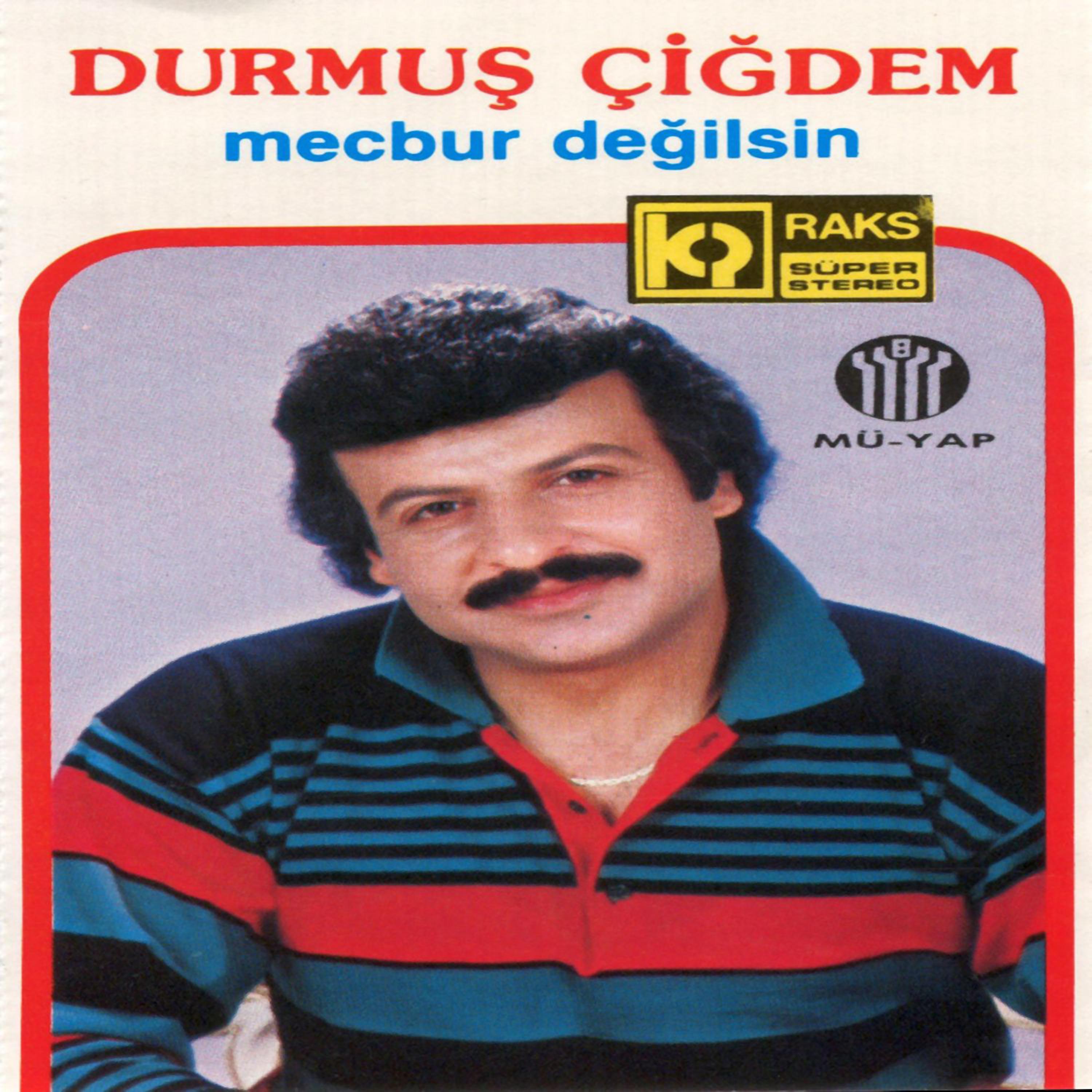 Постер альбома Mecbur Değilsin