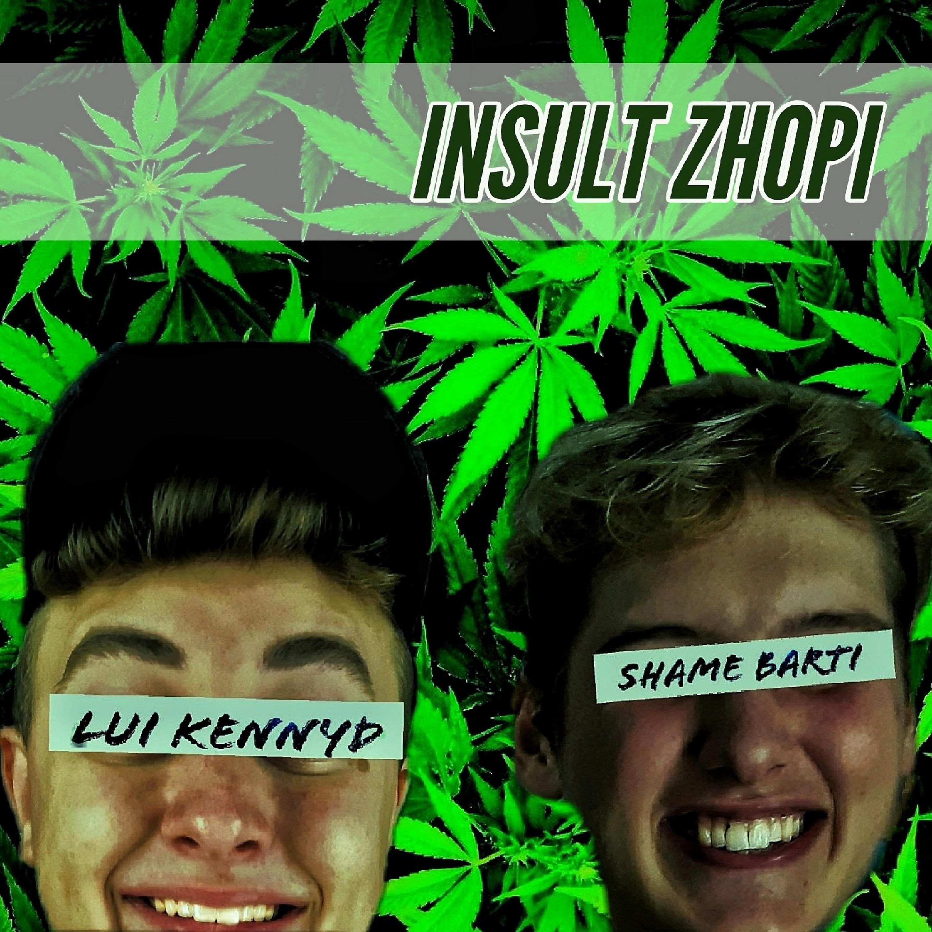 Постер альбома Insult Zhopi