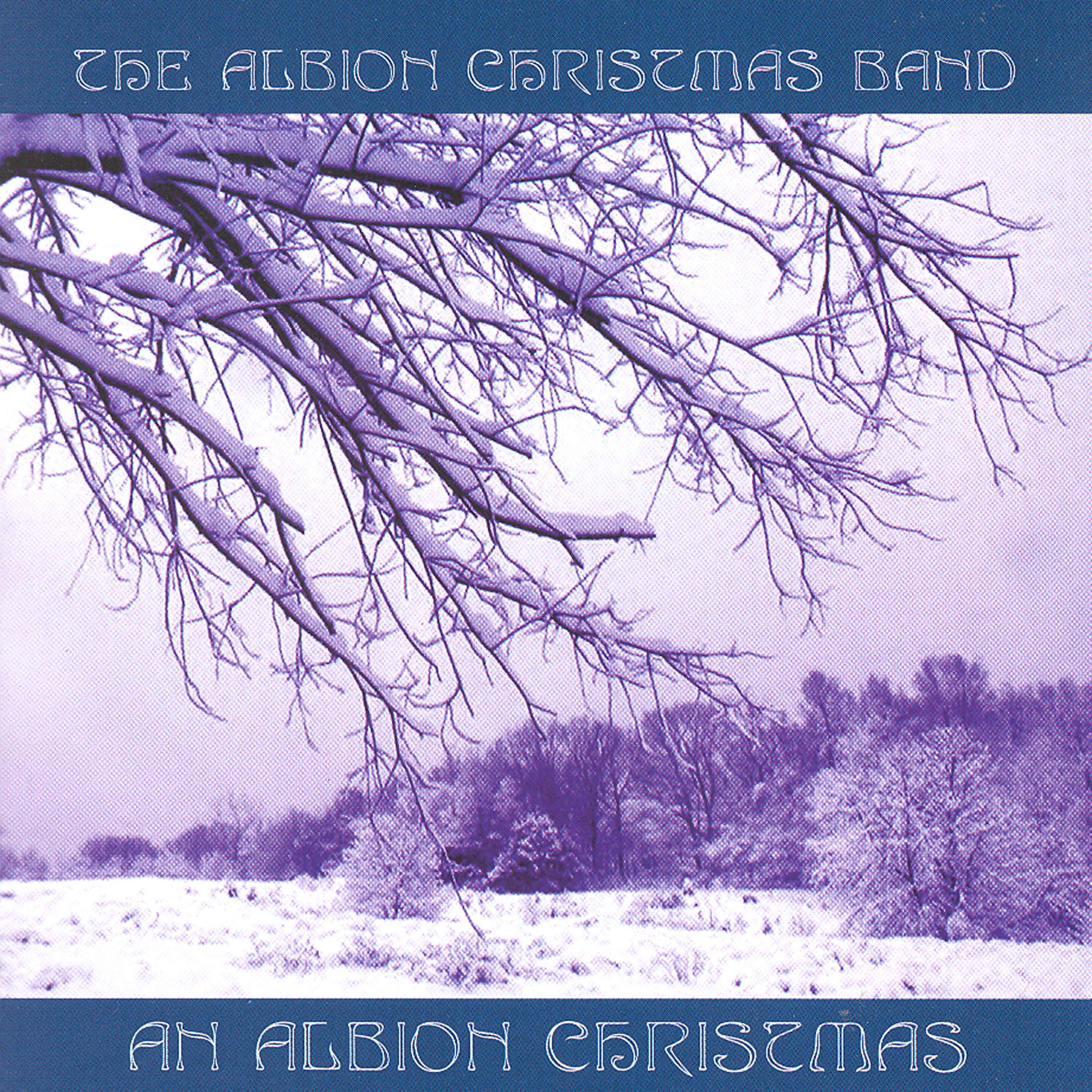 The Albion Christmas Band - Little Johnny England