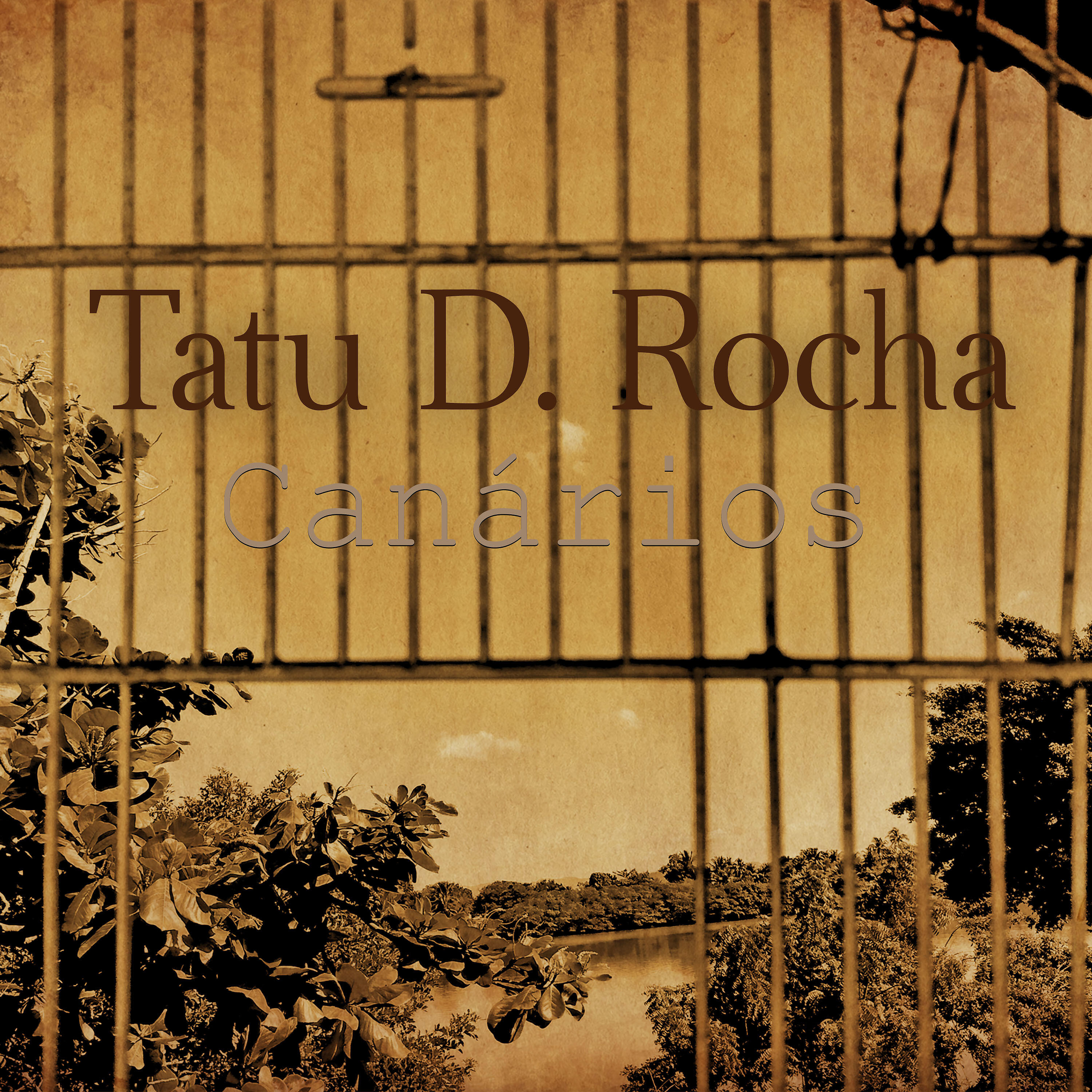 Tatu D. Rocha - Canários