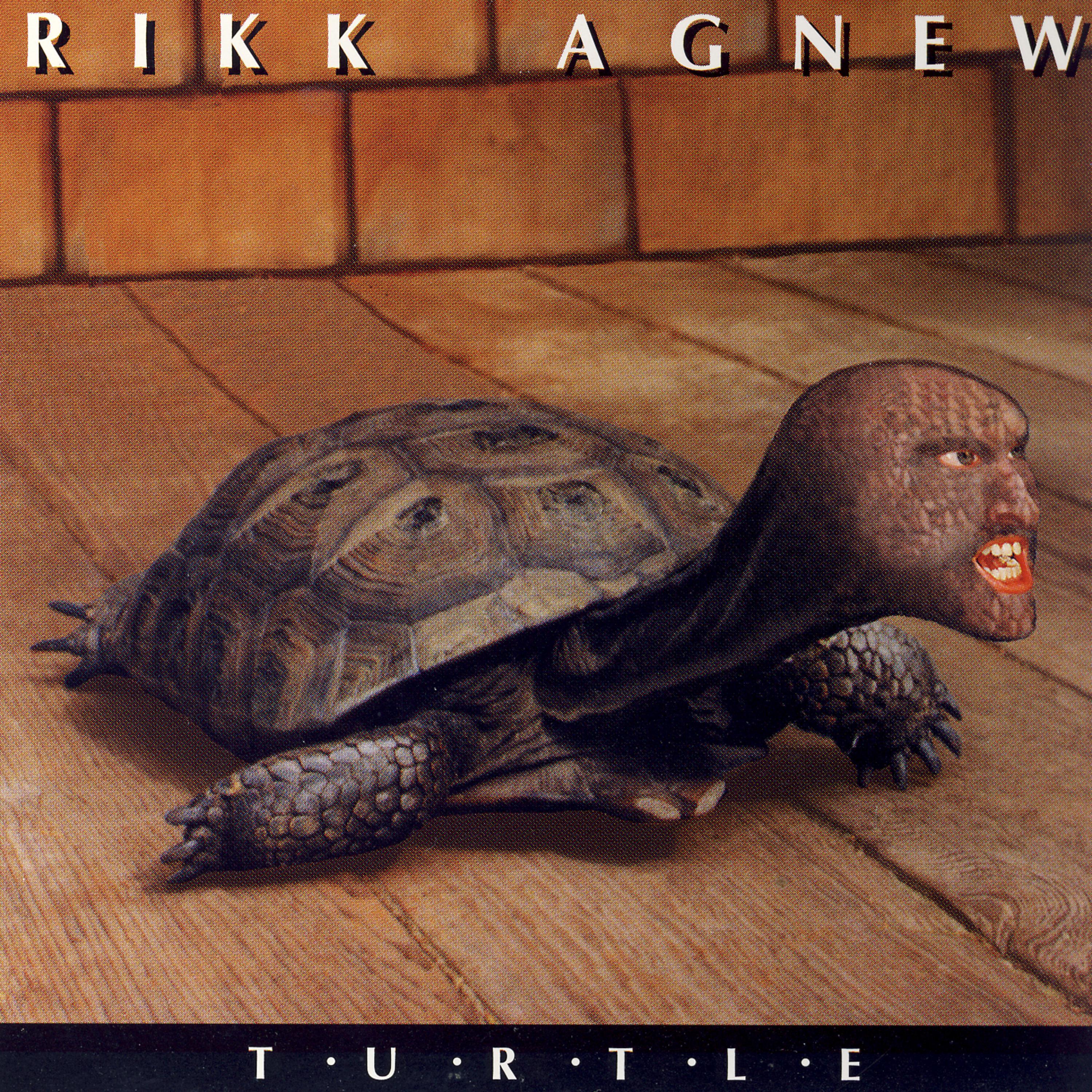 Постер альбома Turtle