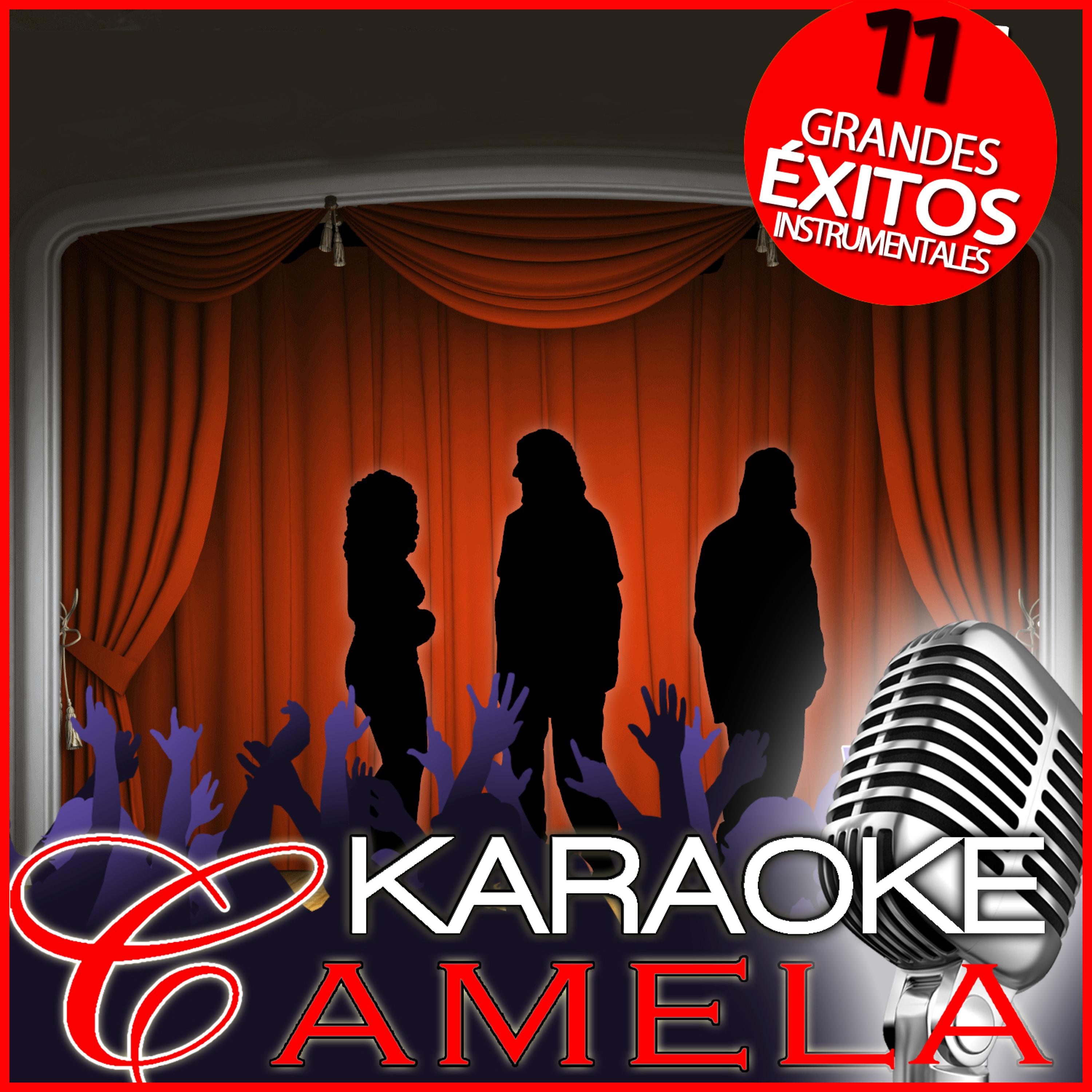 Постер альбома Karaoke Camela. 11 Grandes Éxitos Instrumentales