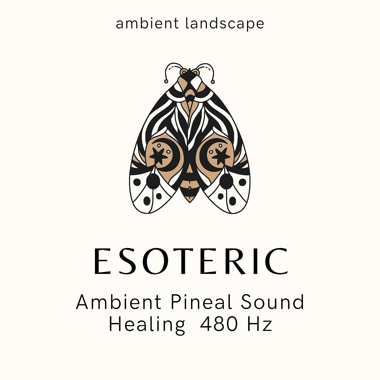 Постер альбома Esoteric Pineal Sound Healing 480 Hz