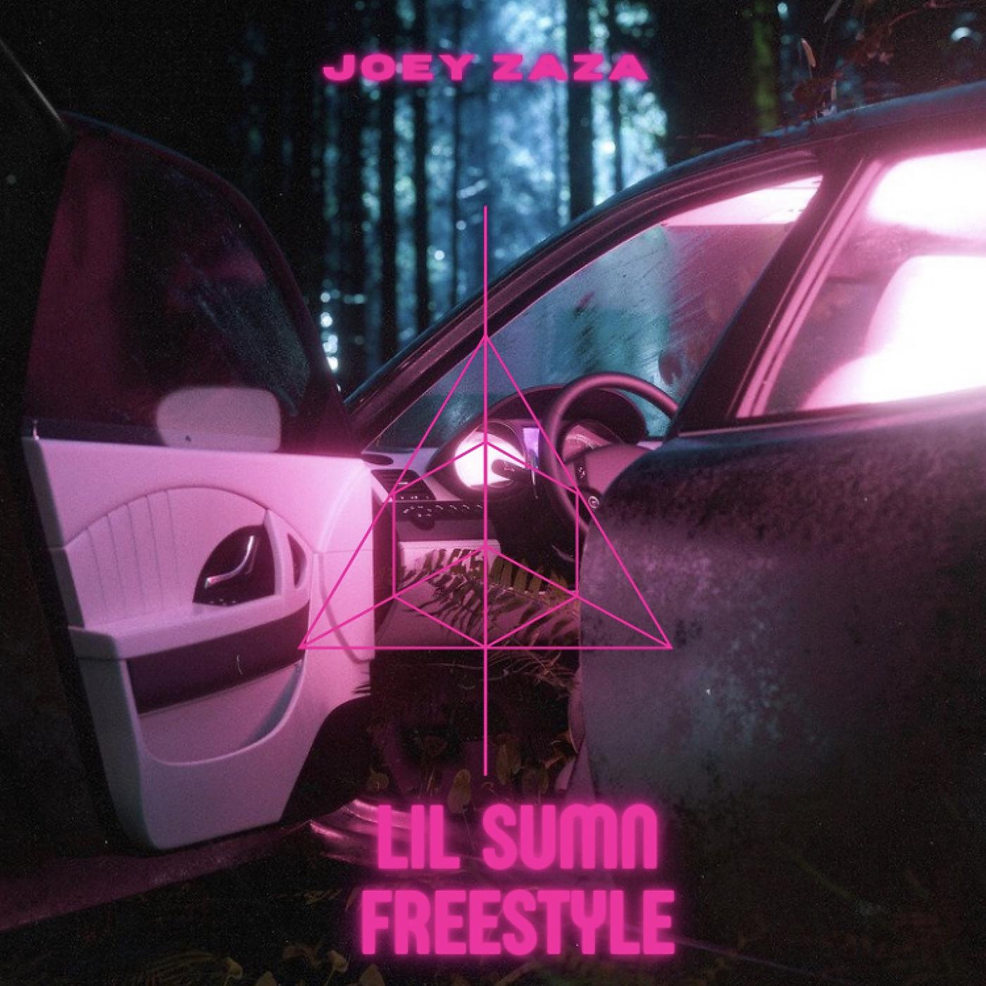 Постер альбома Lil Sumn (Freestyle)