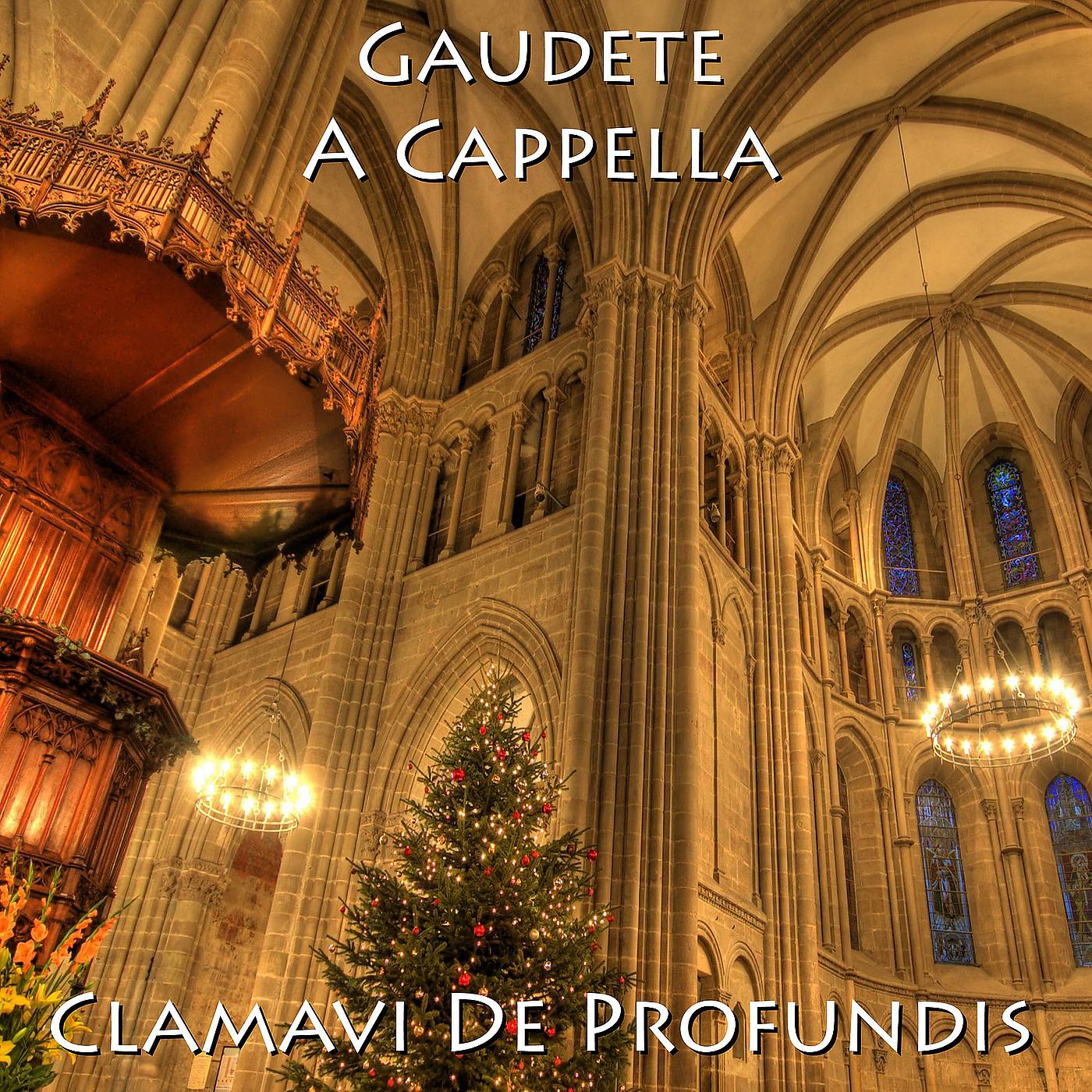 Постер альбома Gaudete a Cappella