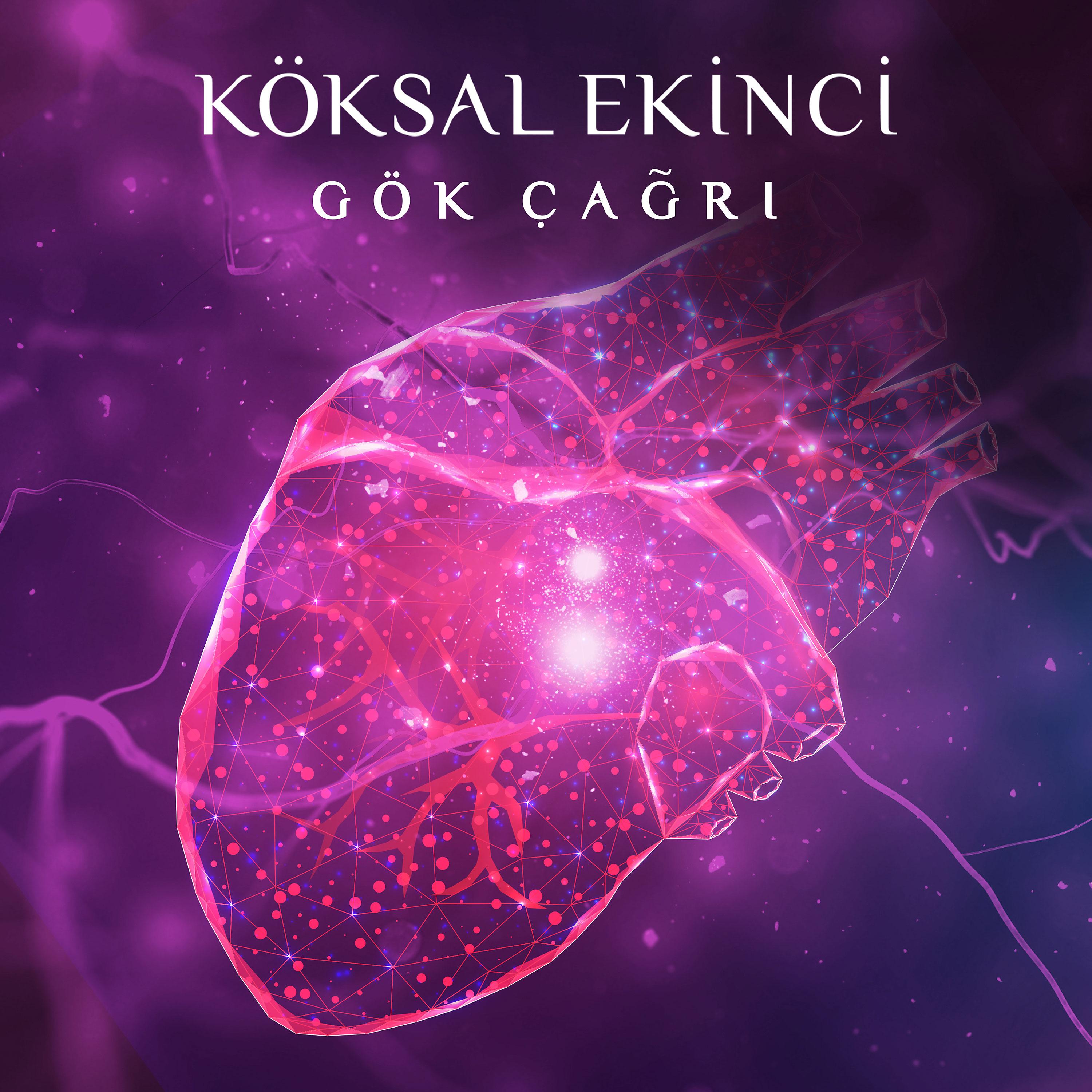 Постер альбома Gök Çağrı