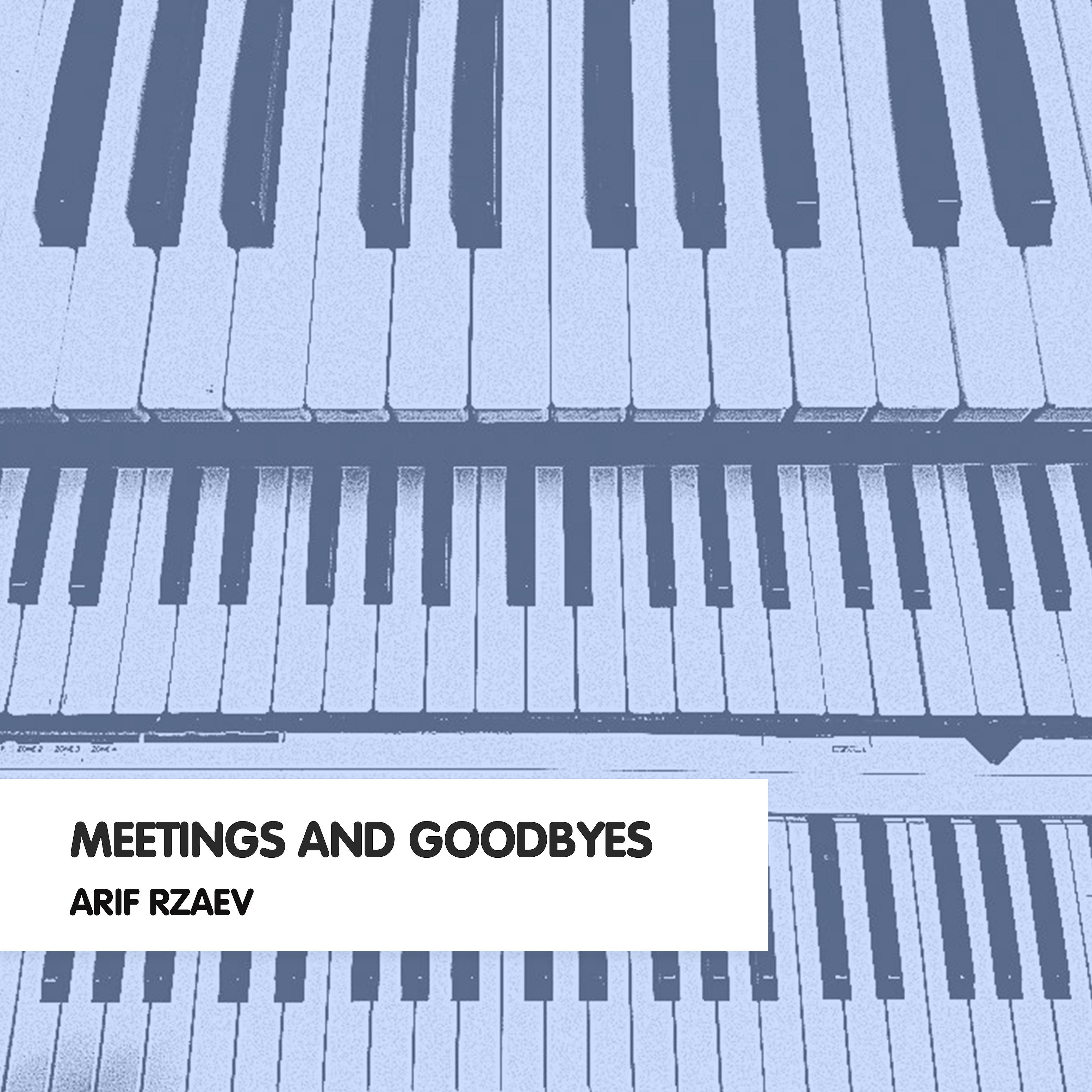 Постер альбома Meetings and Goodbyes