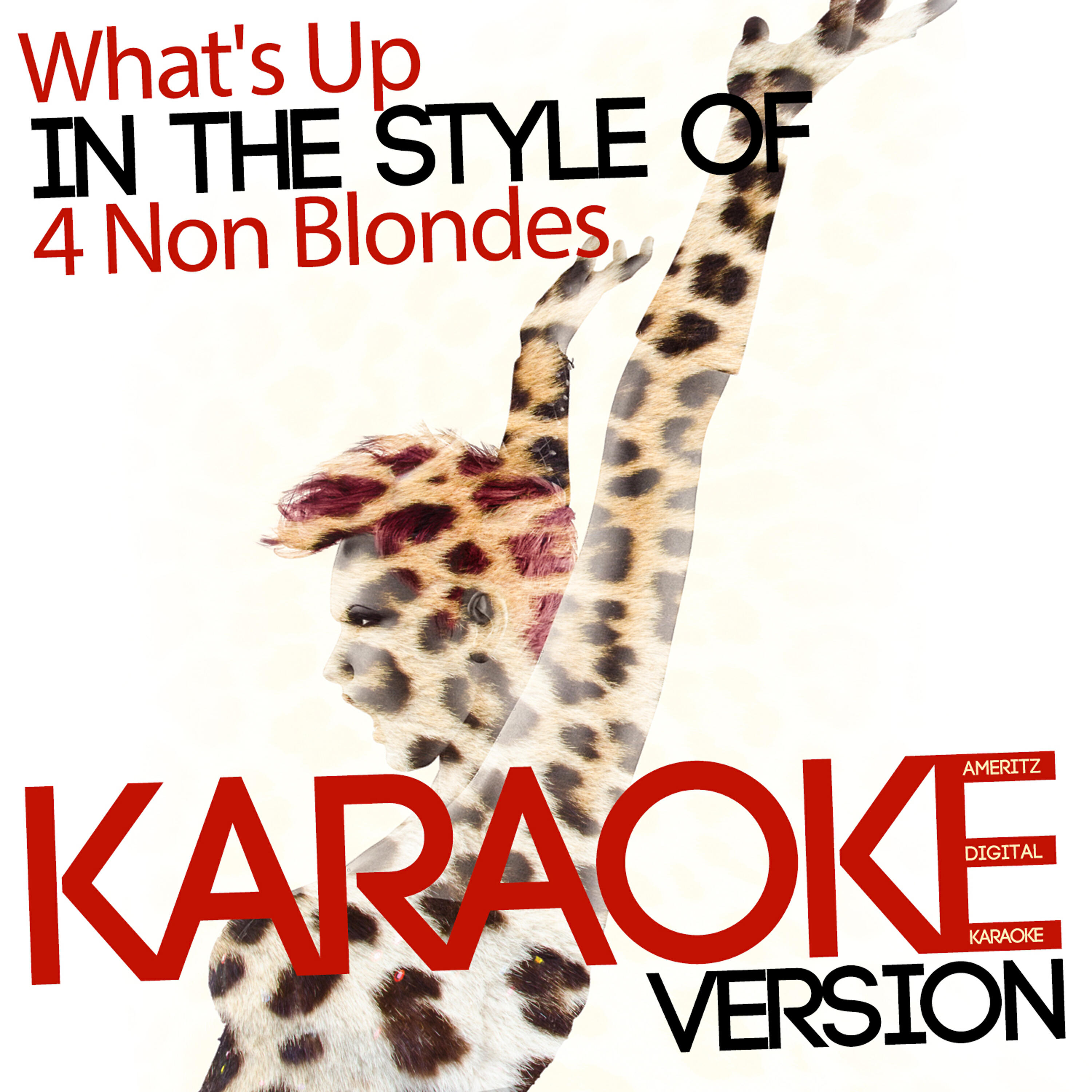 Ameritz Digital Karaoke - What's Up (In the Style of 4 Non Blondes) [Karaoke Version]
