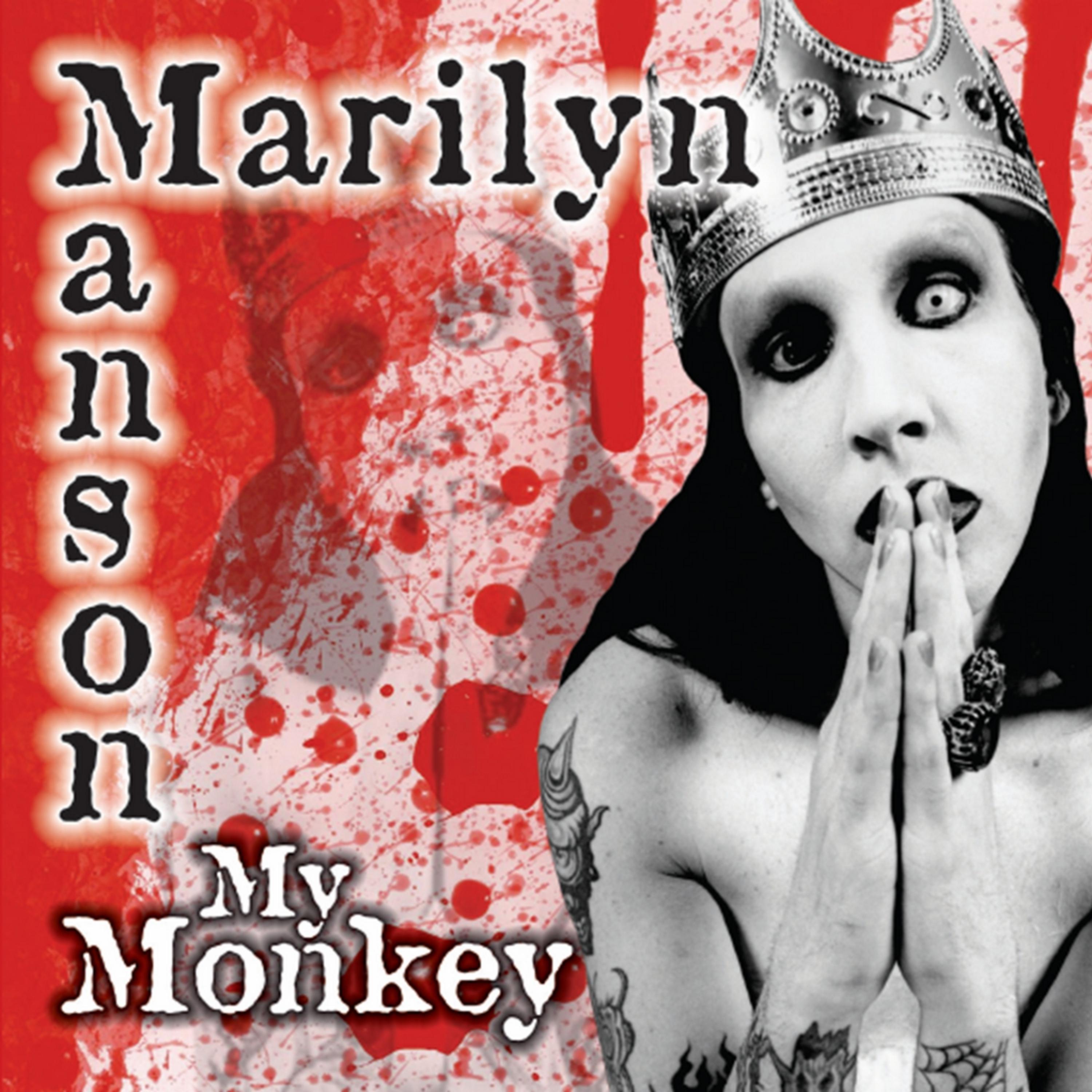 Постер альбома My Monkey