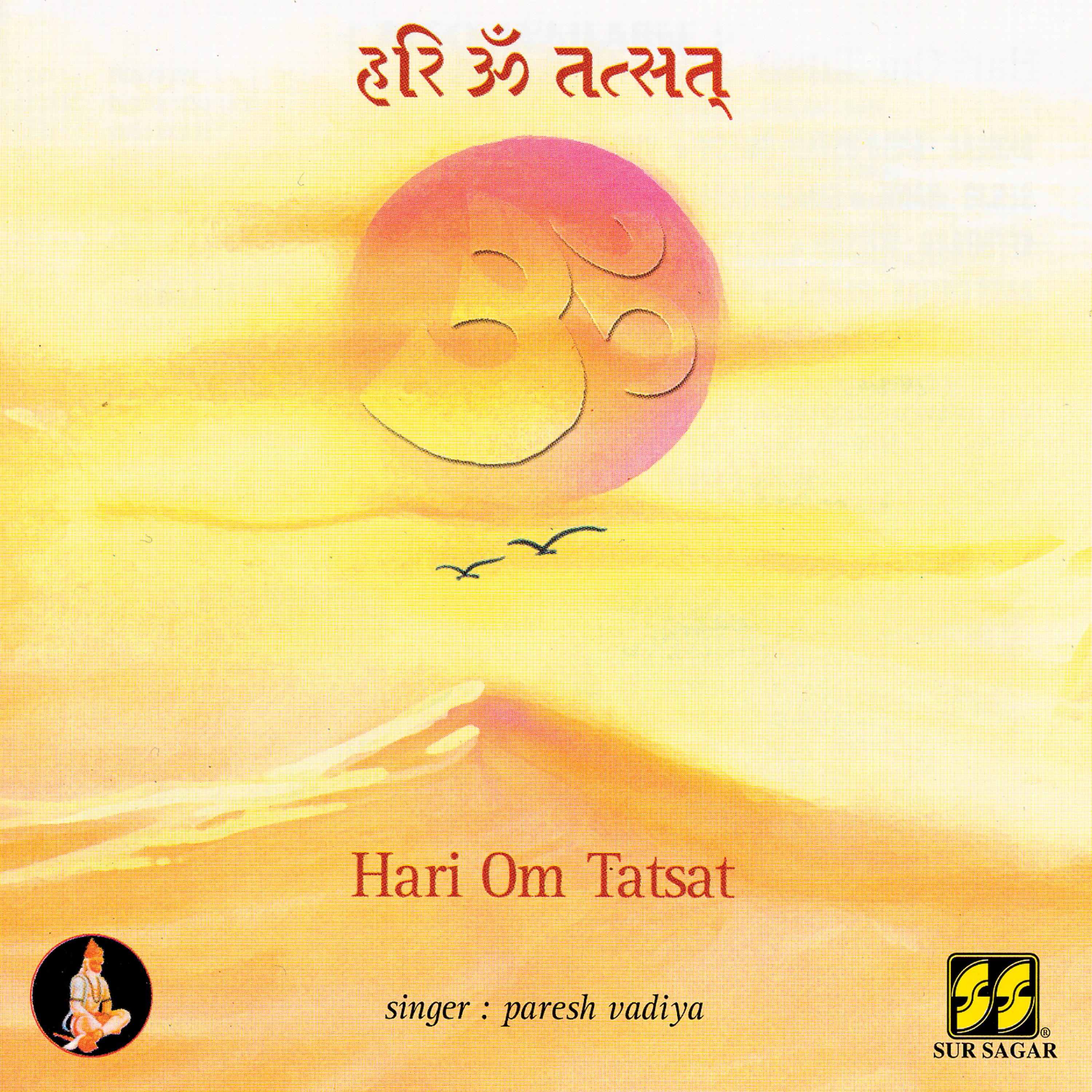 Постер альбома Hari Om Tatsat