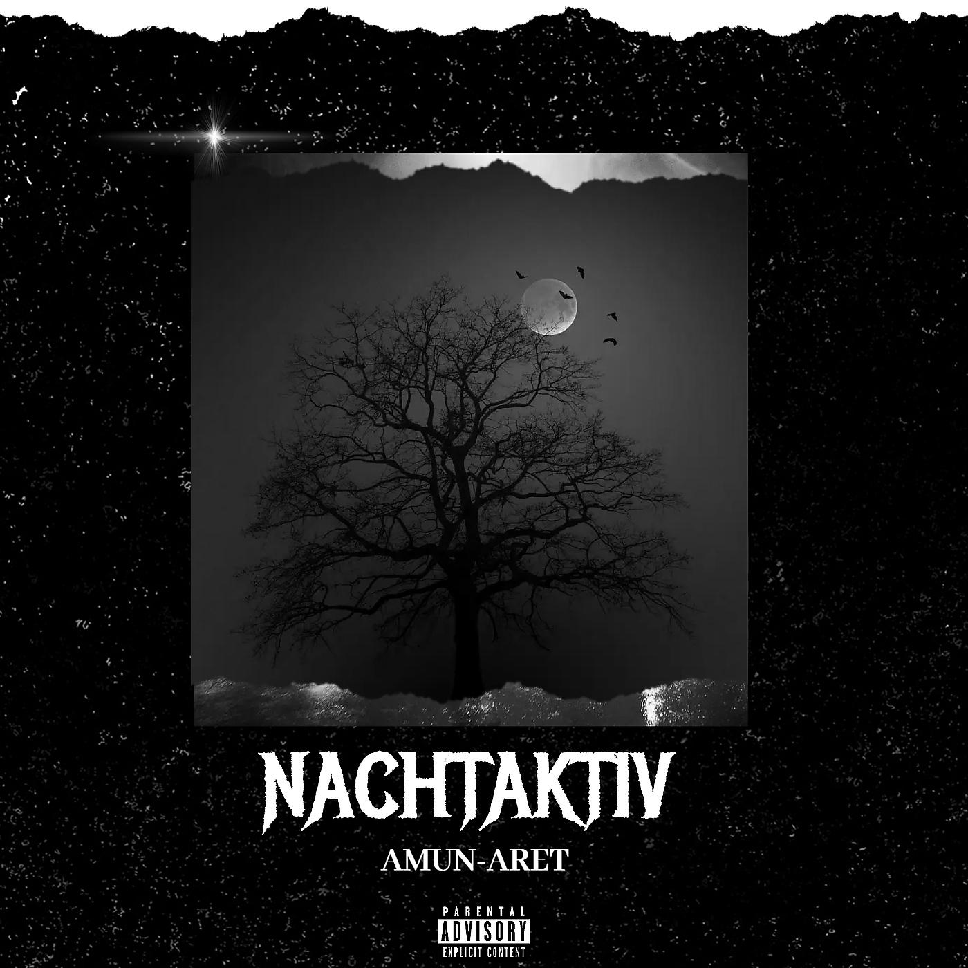 Постер альбома Nachtaktiv