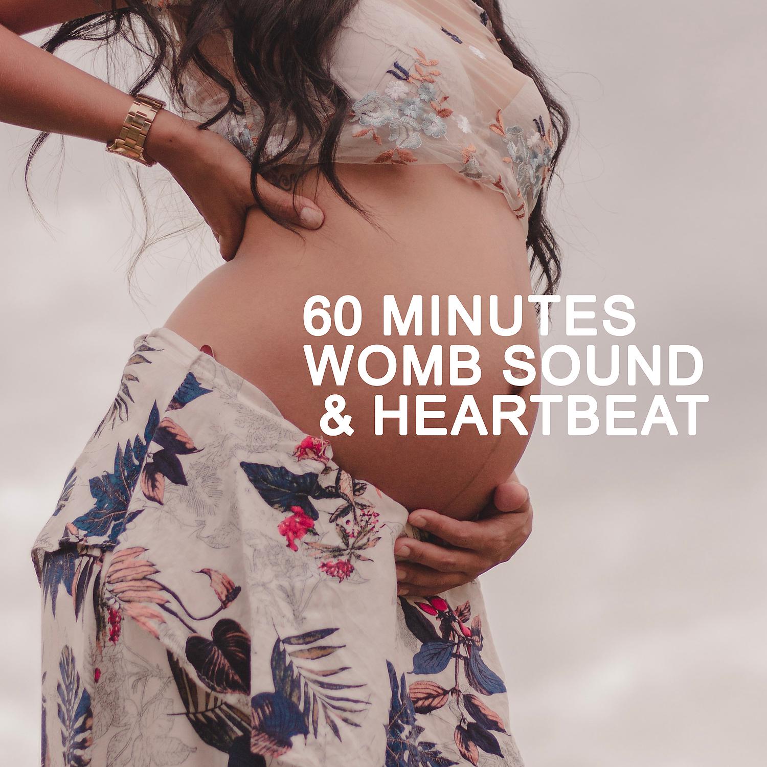Постер альбома 60 Minutes Womb Sounds & Heartbeat: Baby Sleep Music