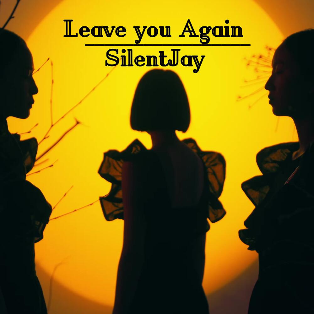 Постер альбома Leave You Again