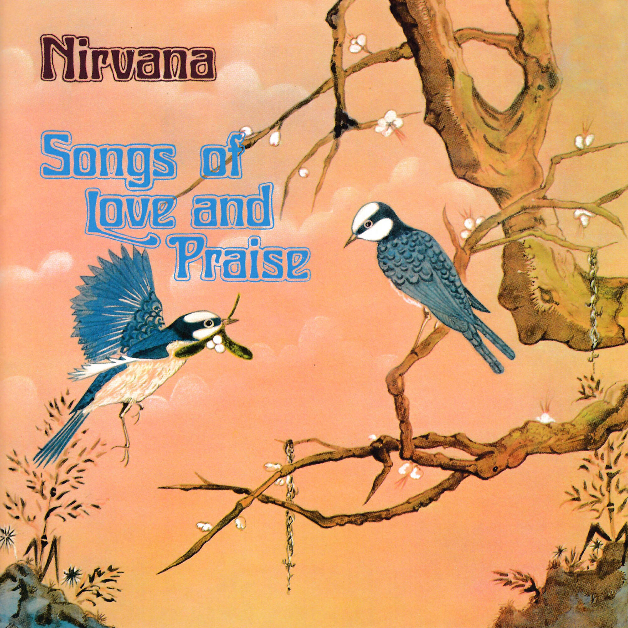 Nirvana - Please Believe Me