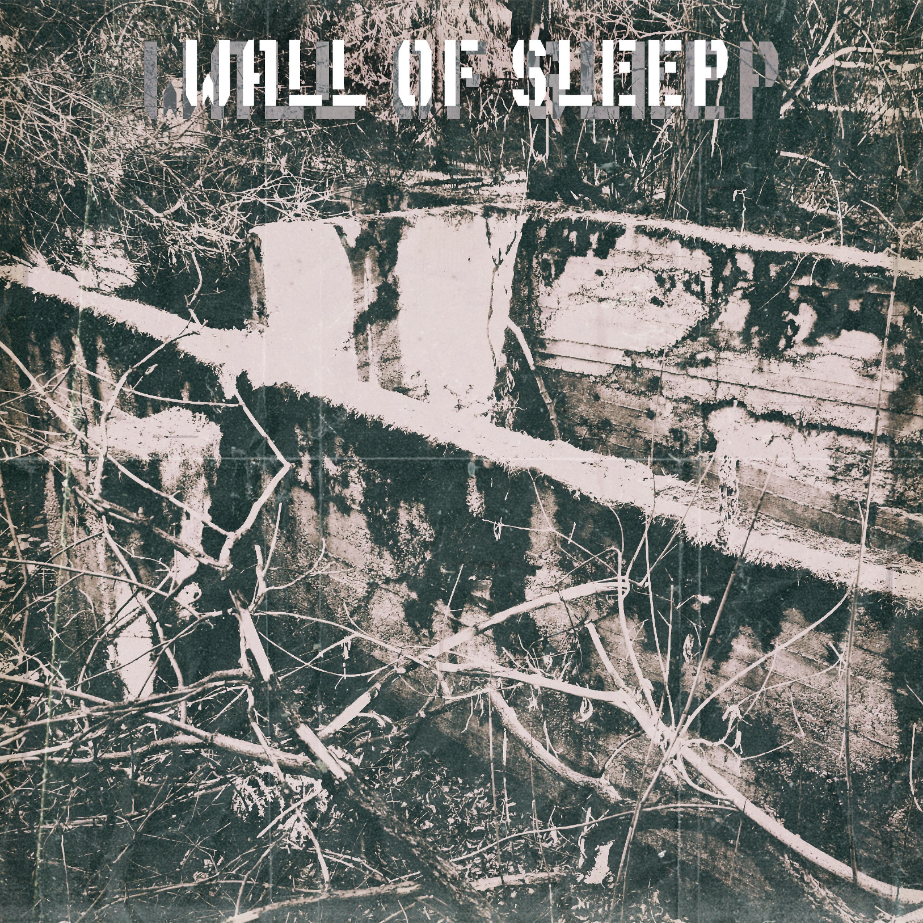 Постер альбома Wall of Sleep