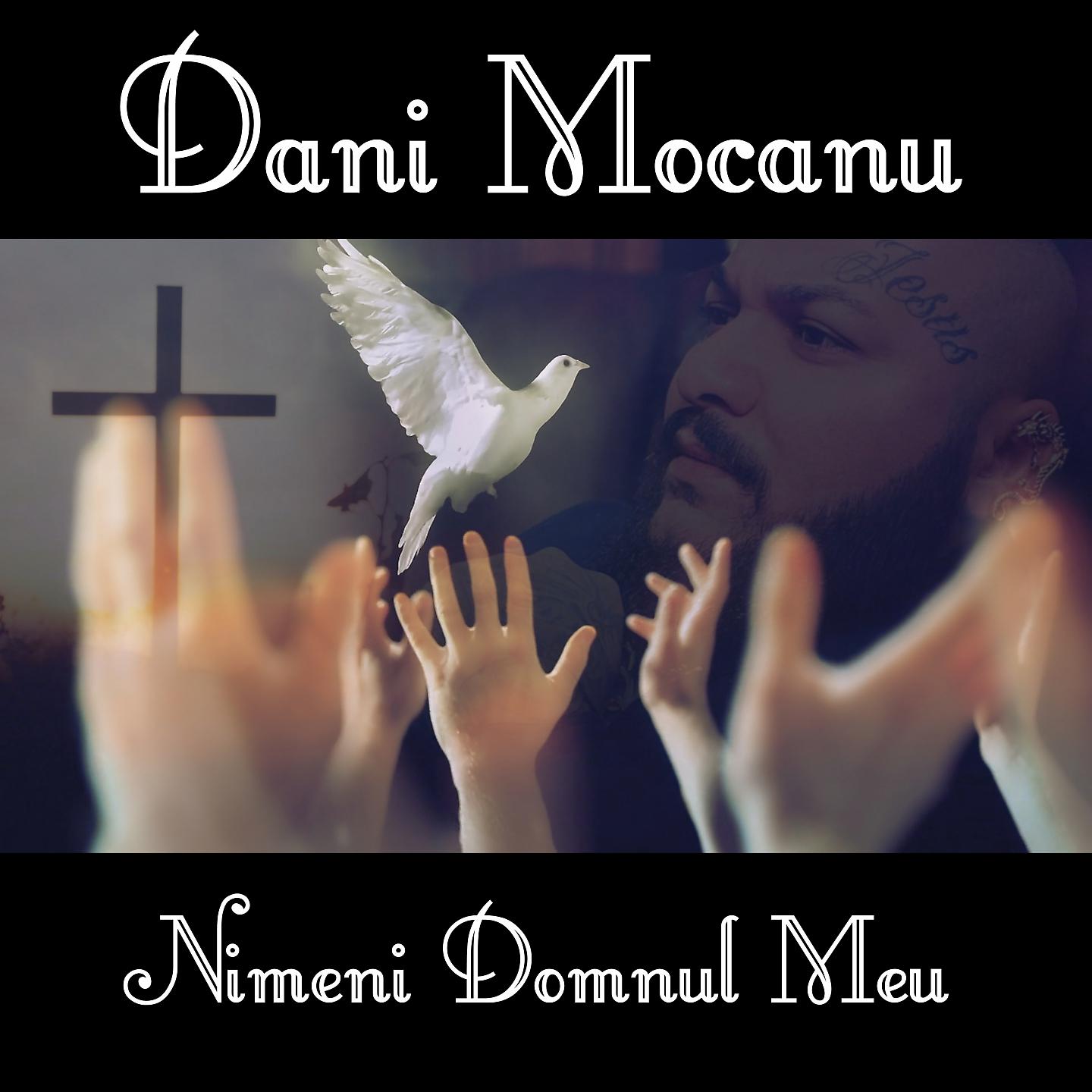 Постер альбома Nimeni Domnul Meu