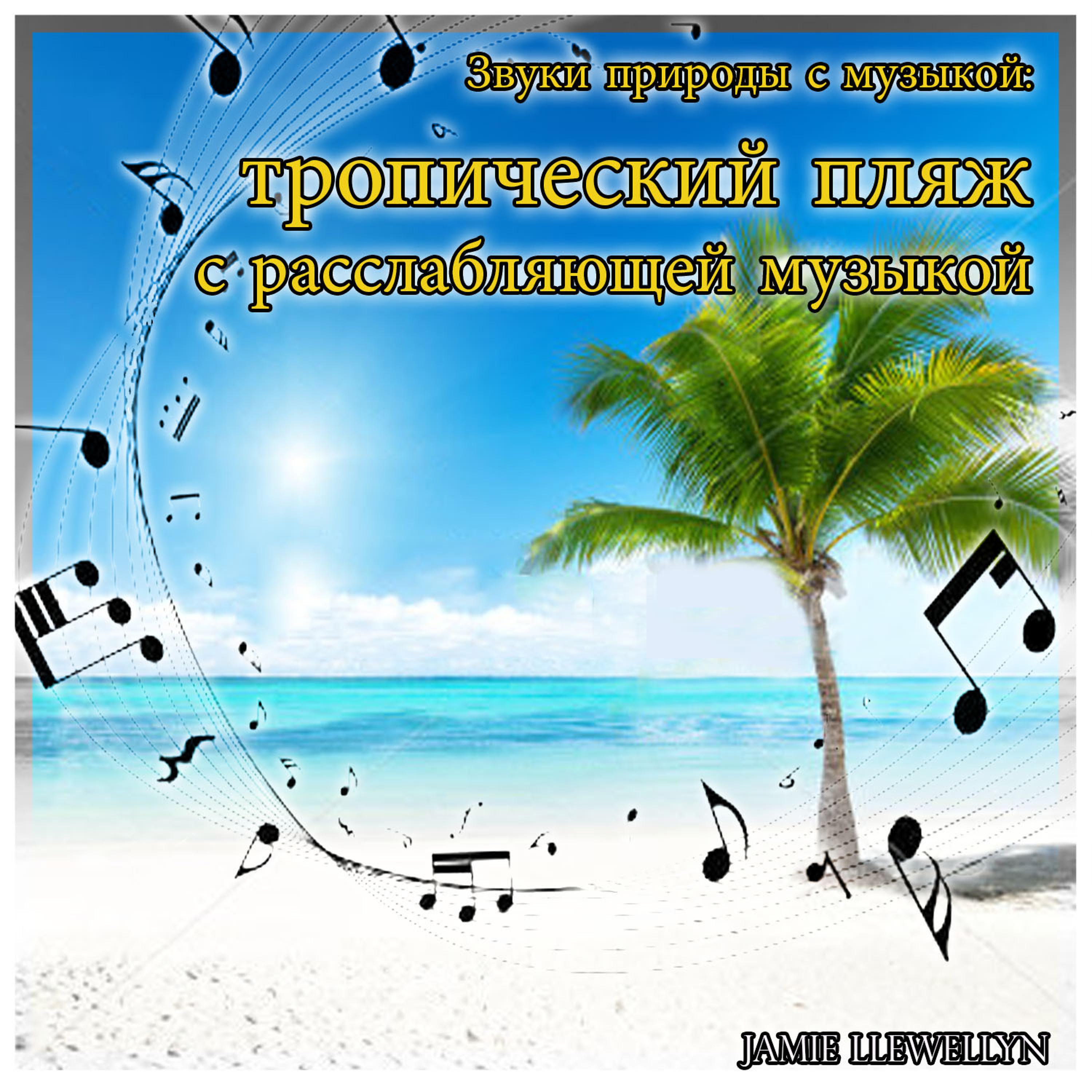 Постер альбома Звуки природы с музыкой: тропический пляж с расслабляющей музыкой