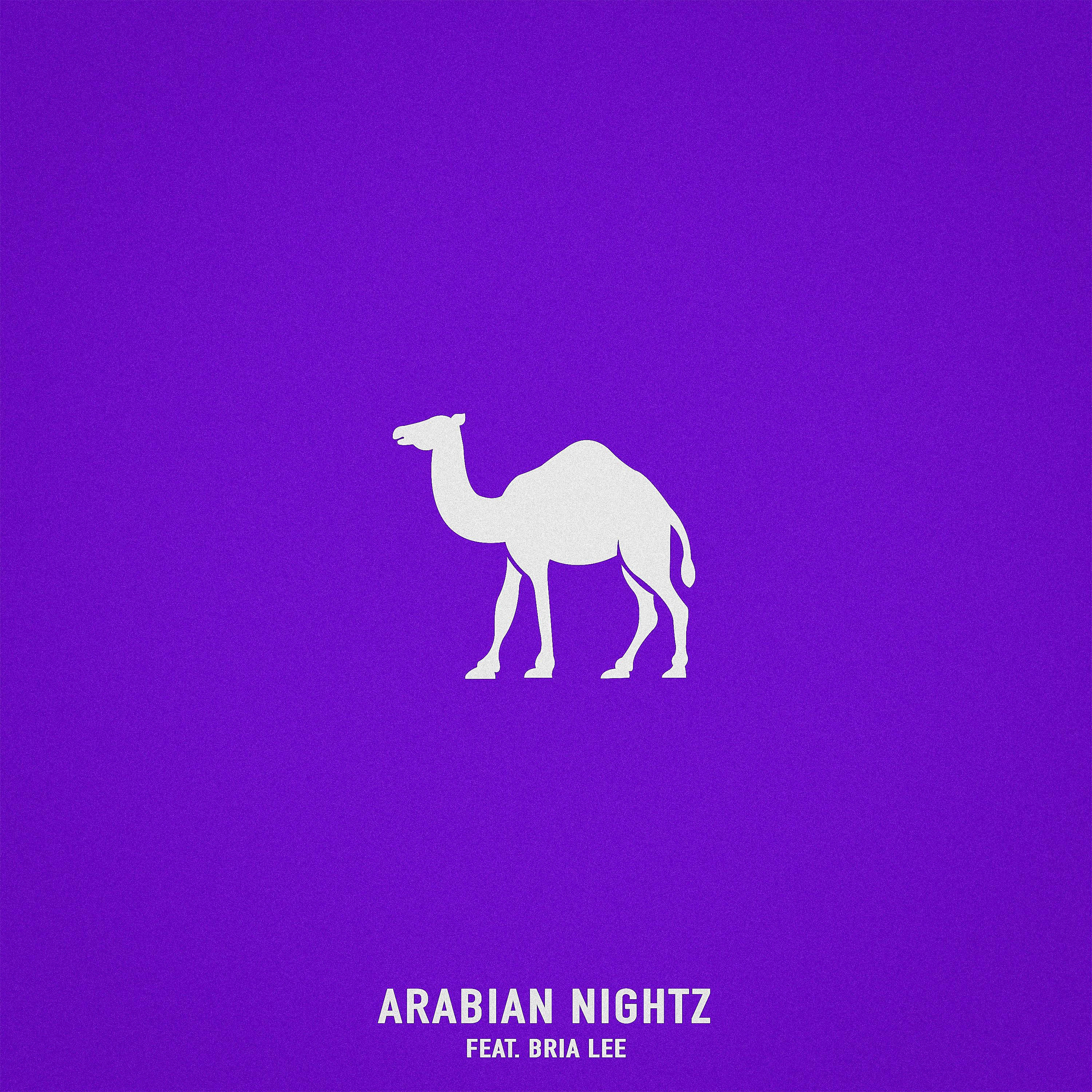 Постер альбома Arabian Nightz (feat. Bria Lee)