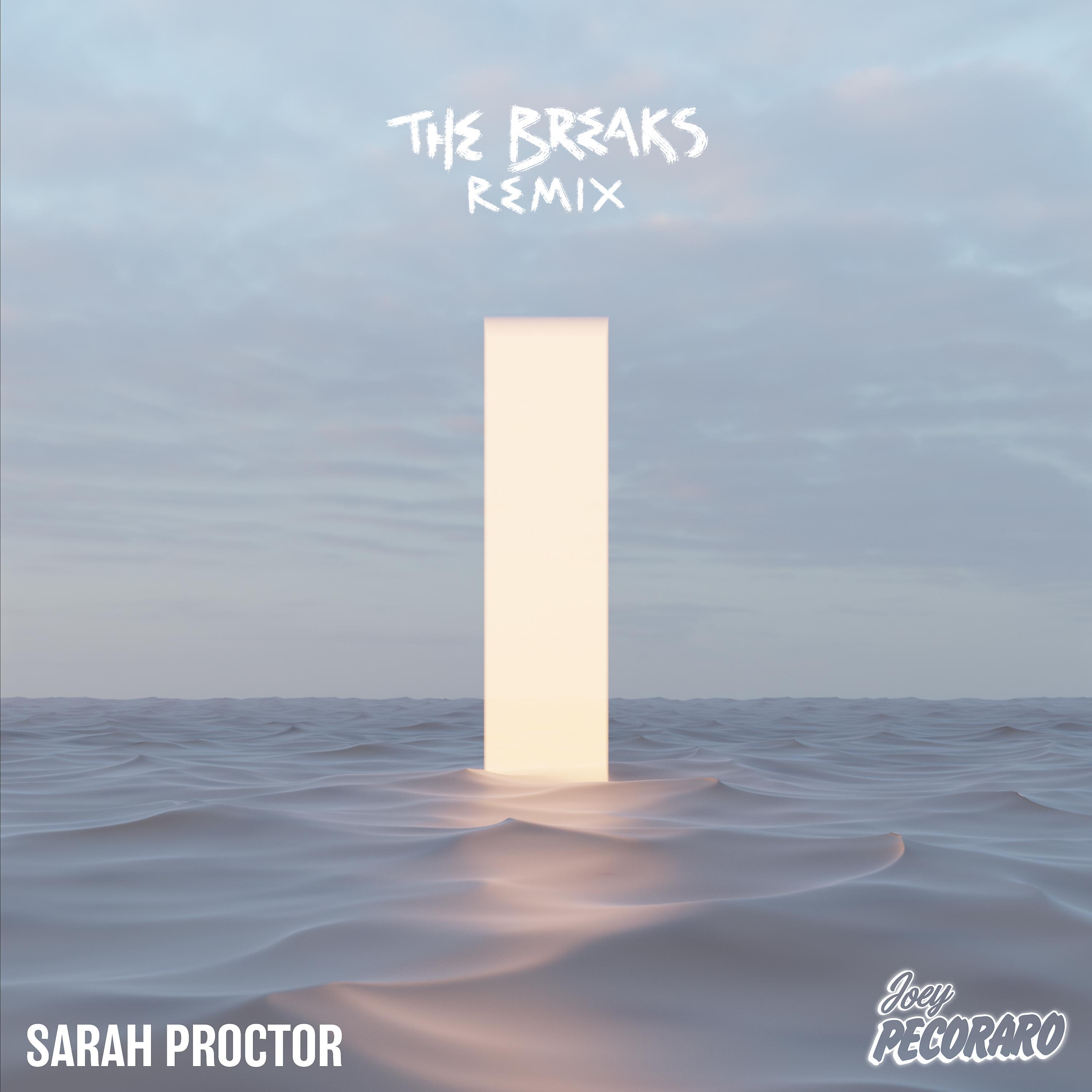 Постер альбома The Breaks (Joey Pecoraro Remix)