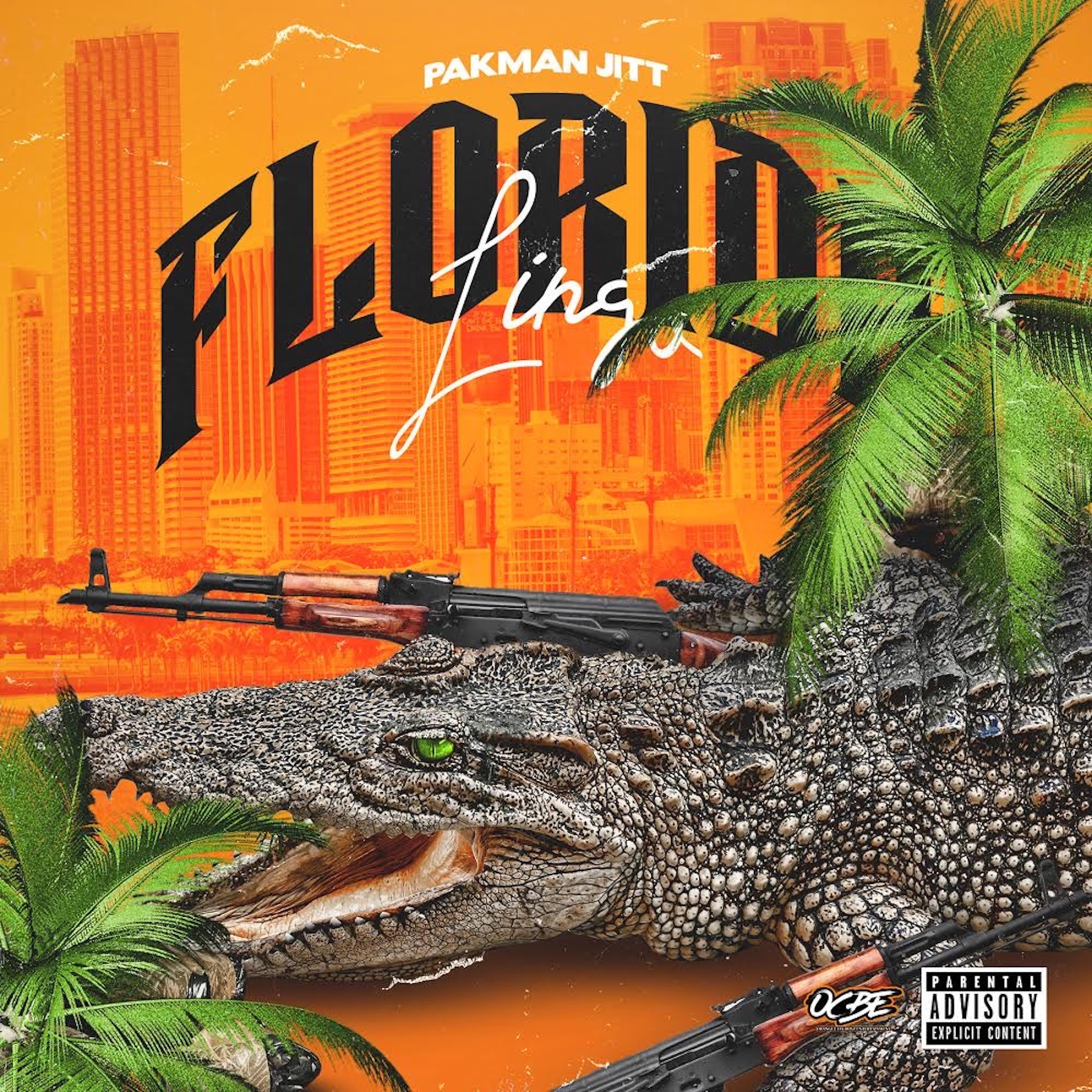 Постер альбома Florida Lingo