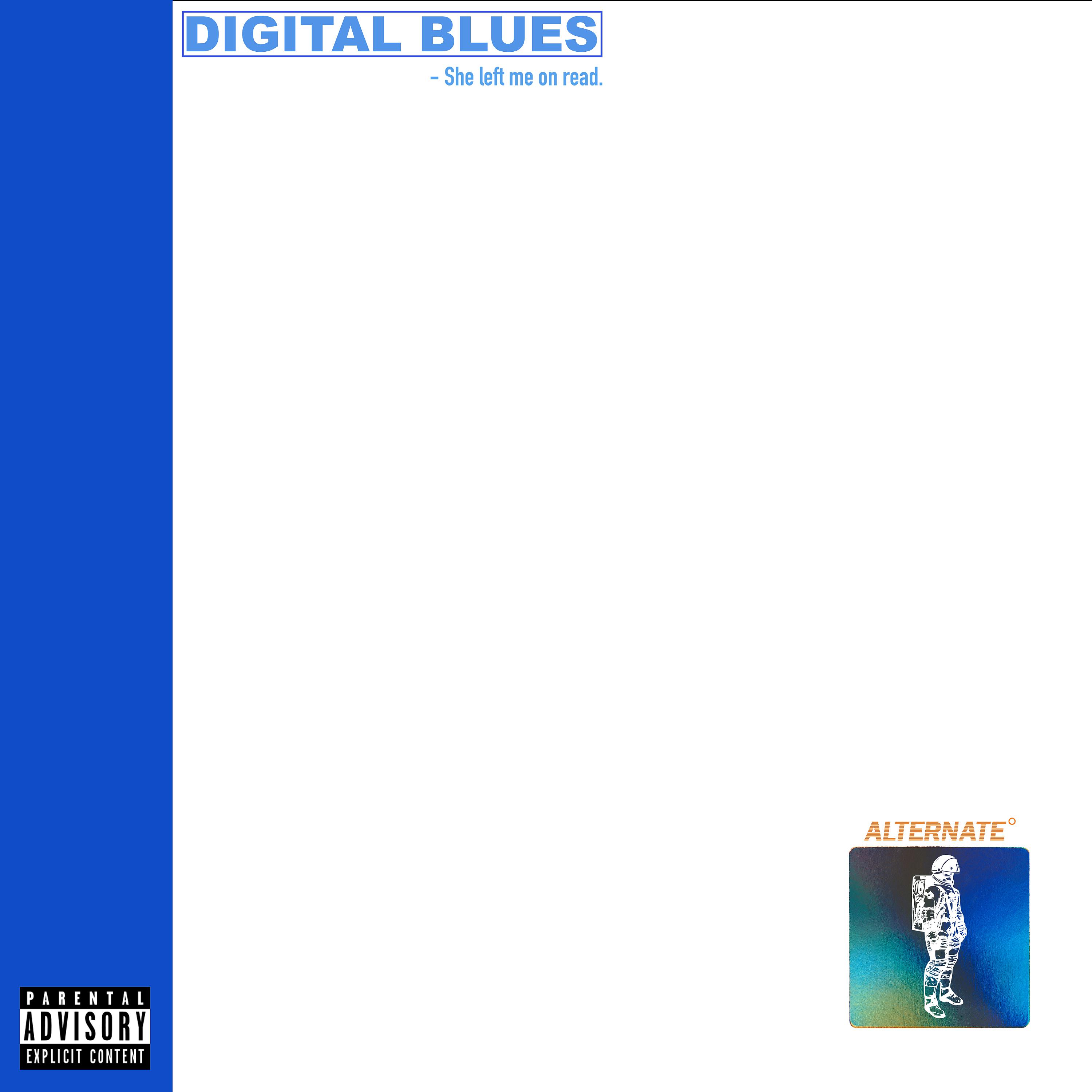 Постер альбома Digital Blues