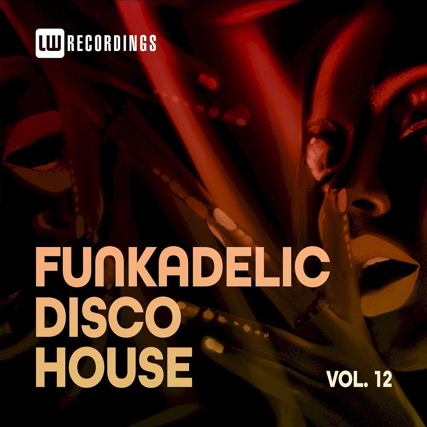 Dennis Bune - The Funk U Want (Instrumental Mix)