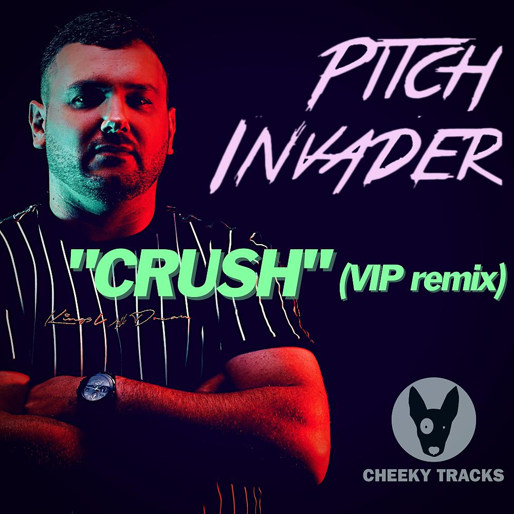 Постер альбома Crush (VIP Remix)