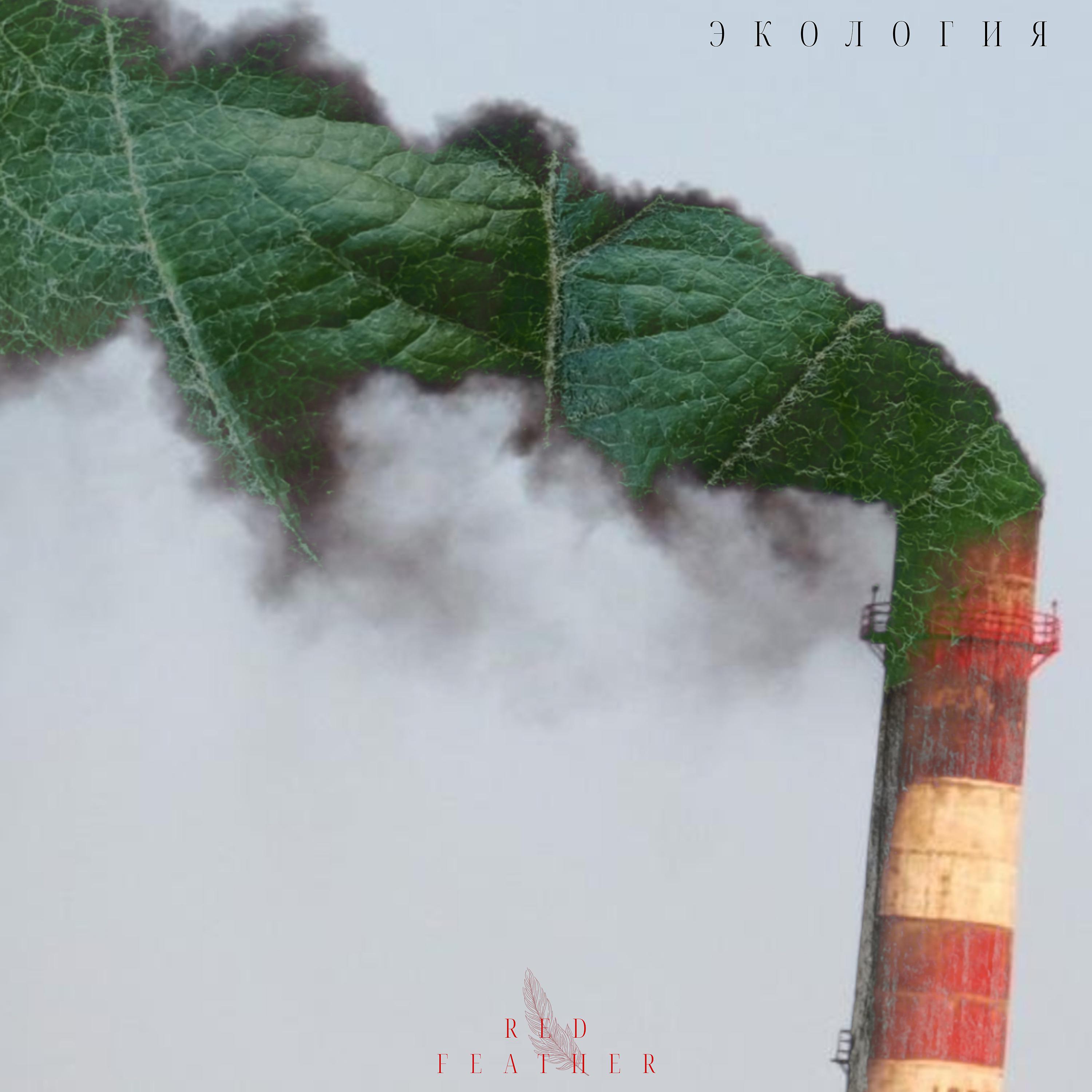 Постер альбома Экология