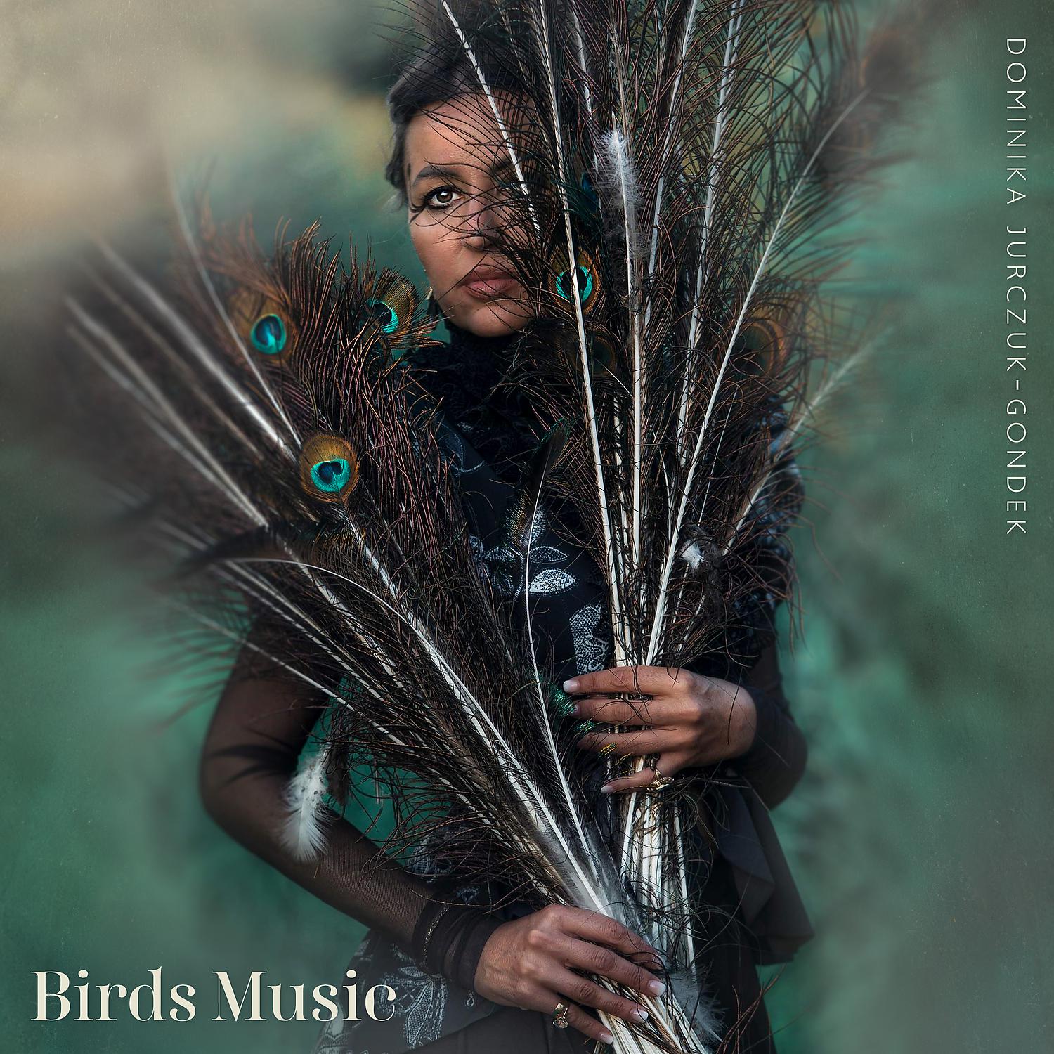 Постер альбома Birds Music
