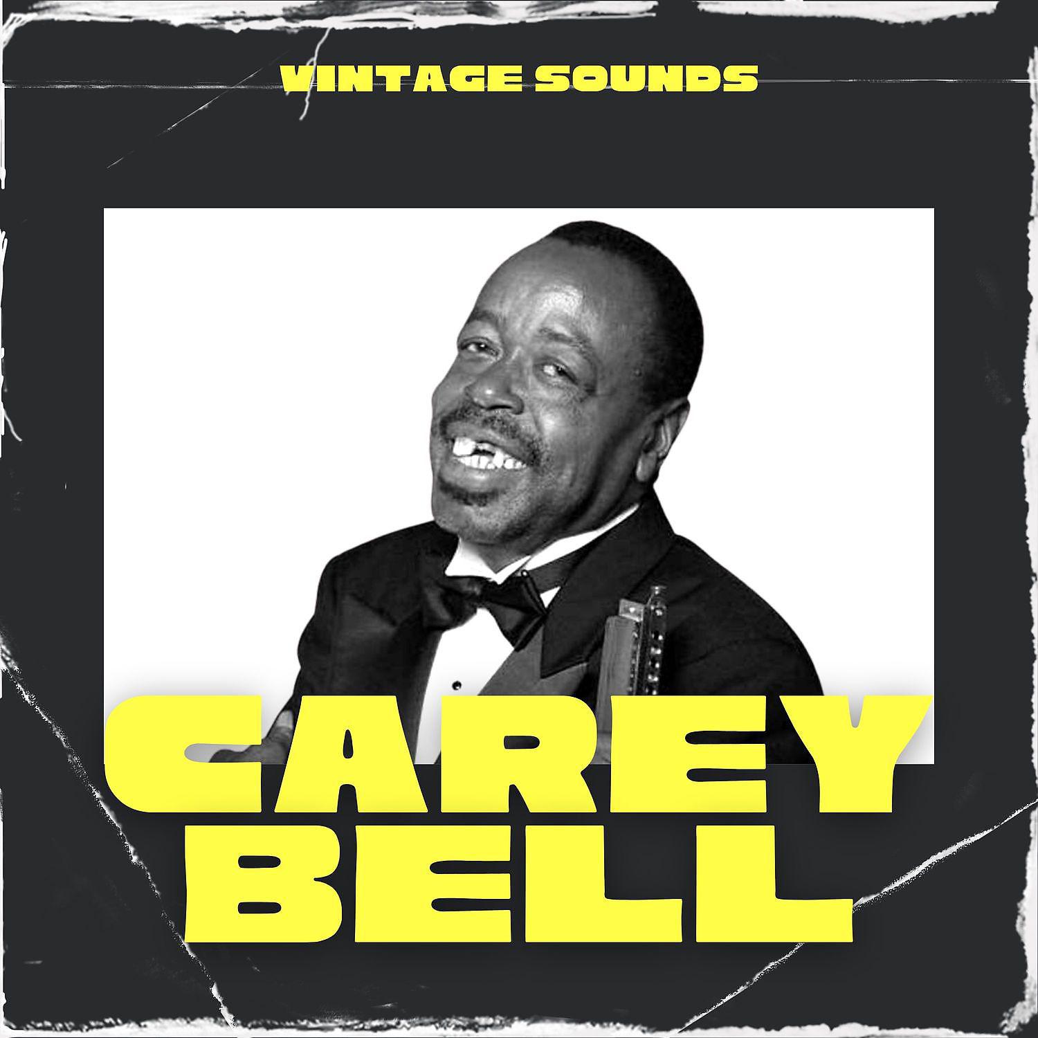 Постер альбома Carey Bell - Vintage Sounds