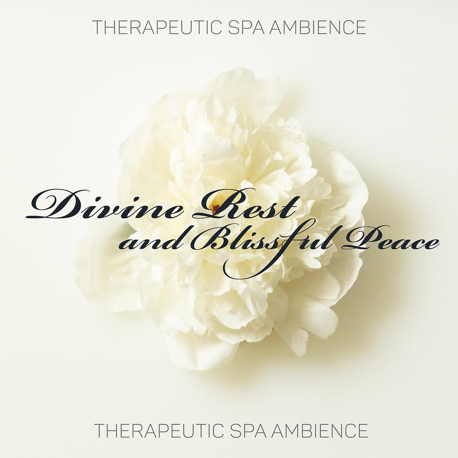 Постер альбома Therapeutic Spa Ambience: Divine Rest and Blissful Peace - Relaxation Music, Massage ASMR, Body and Mental Wellbeing, Calming Nature Bliss