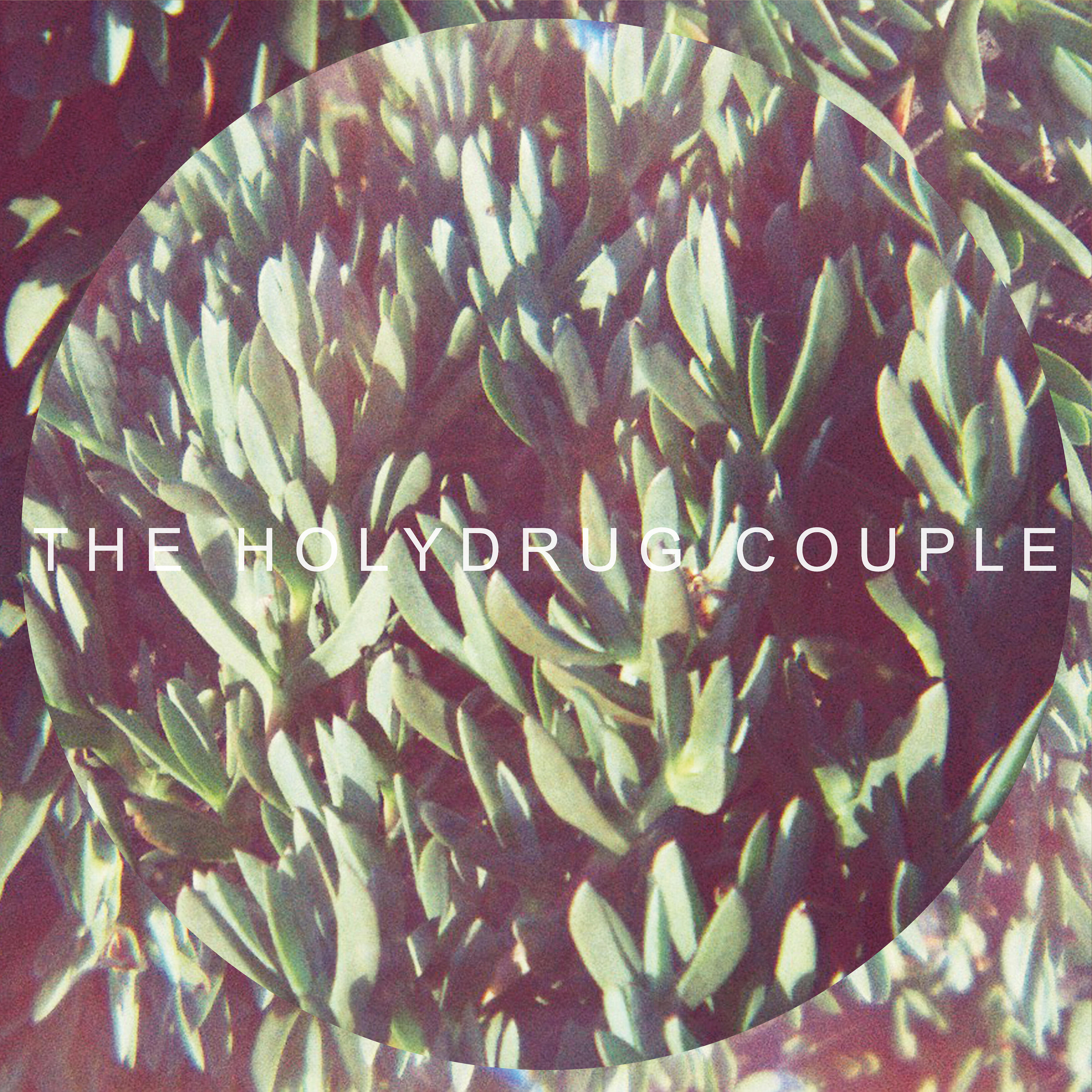 The Holydrug Couple - Now Revisited