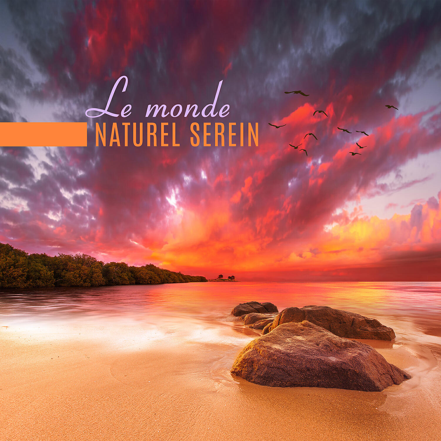 Bouddha Musique Sanctuaire - Au plus profond de la forêt