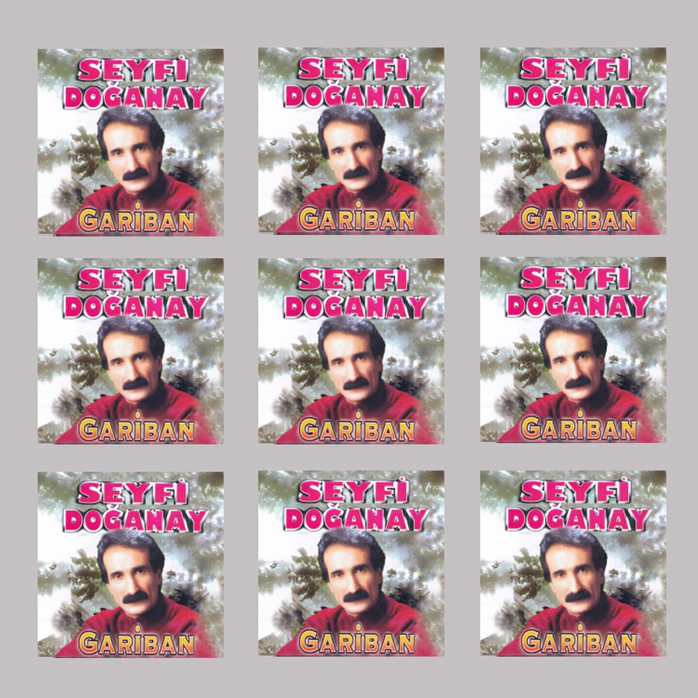 Seyfi Doğanay - Kimsesizler Ülkesine