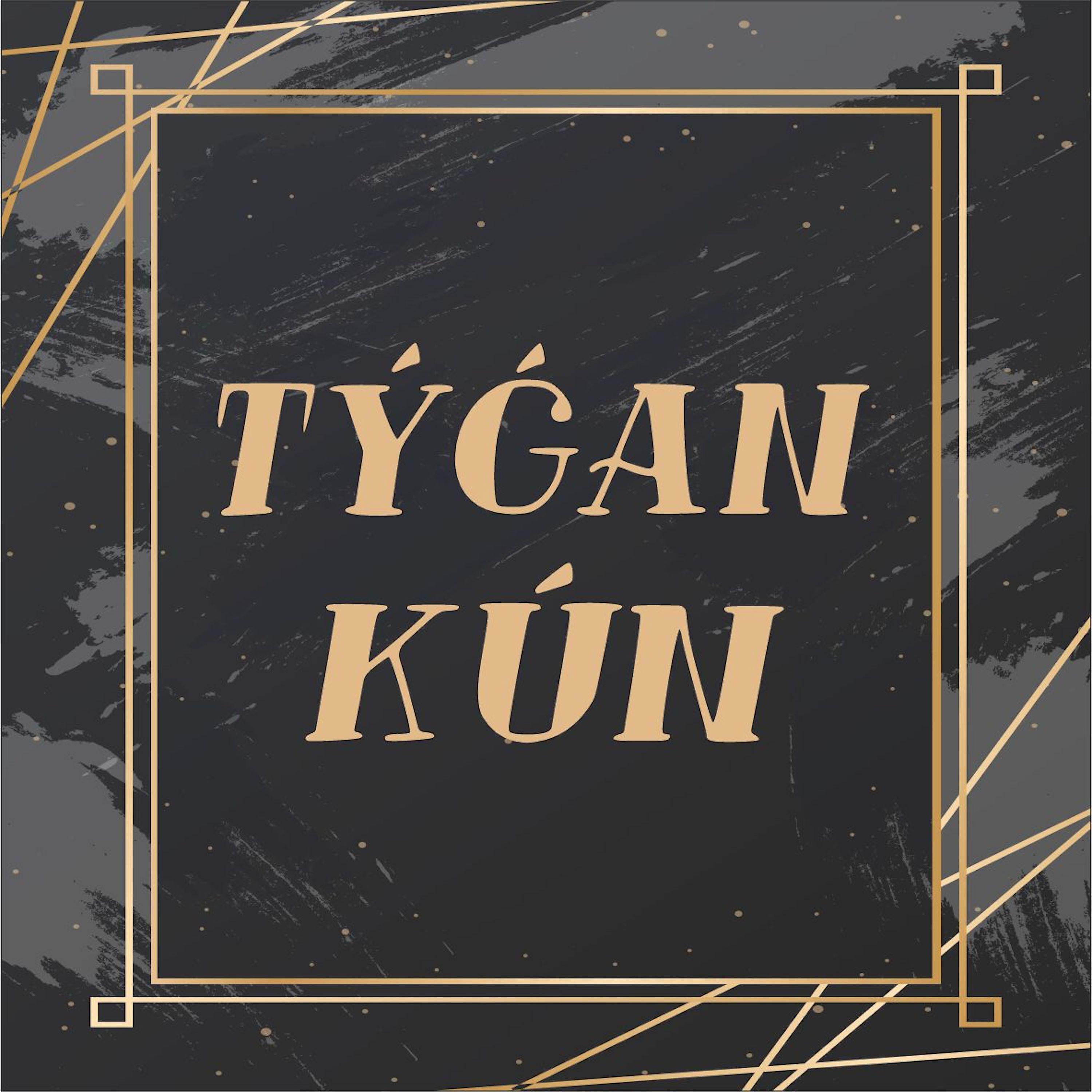 Постер альбома Tygan kun