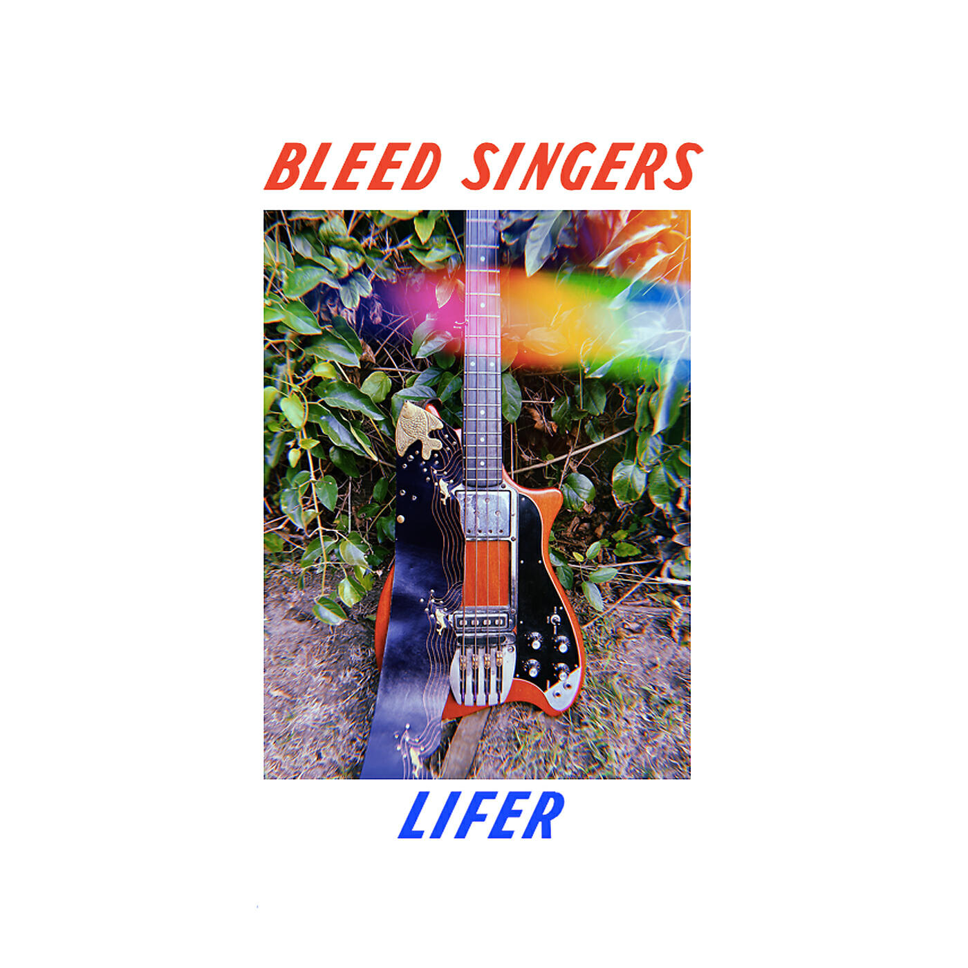 Bleed Singers - Lifer