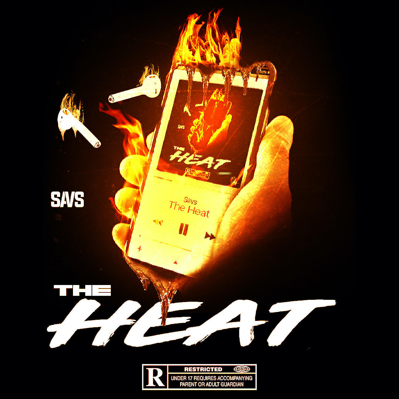 Savs - Dexters Lab