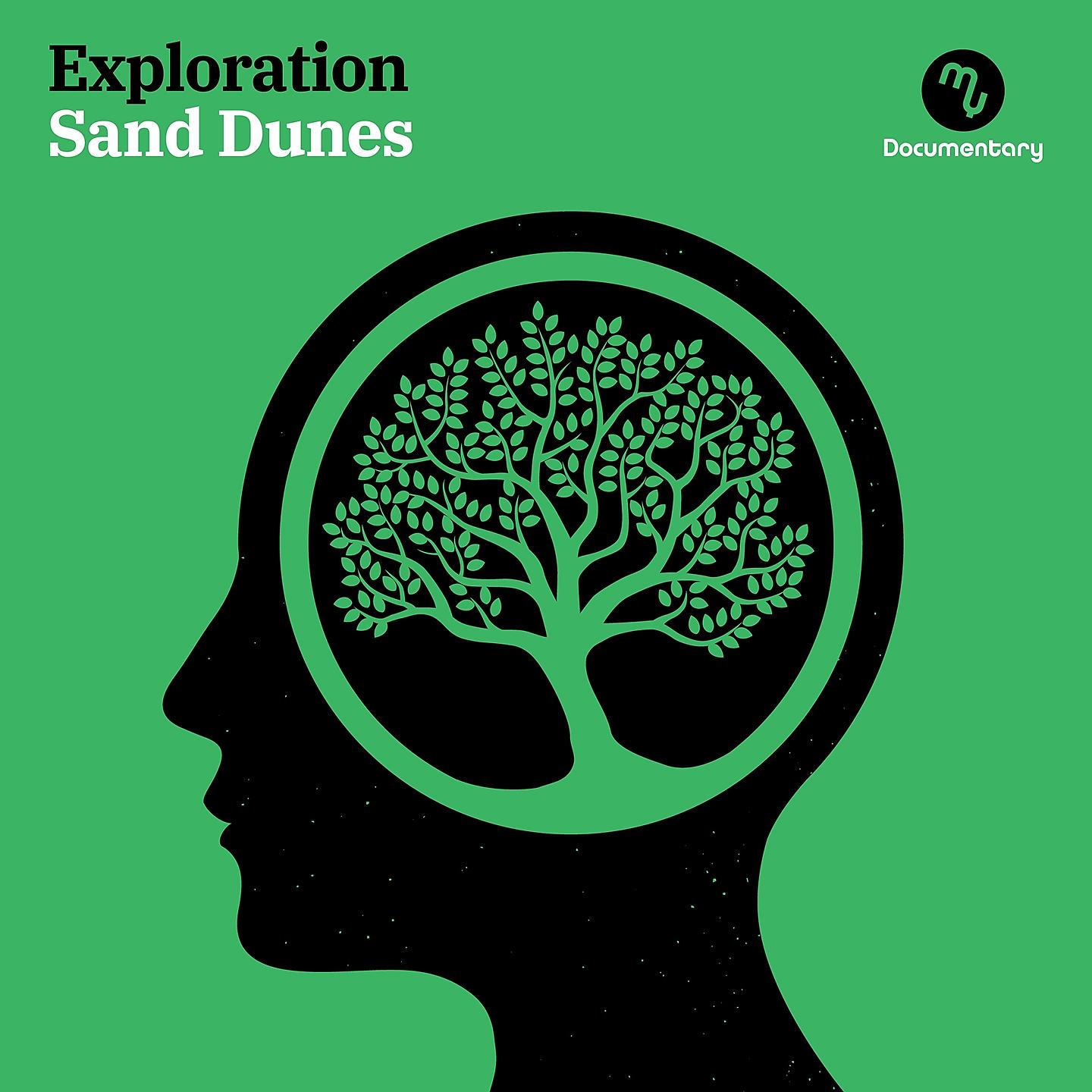 Постер альбома Exploration - Sand Dunes