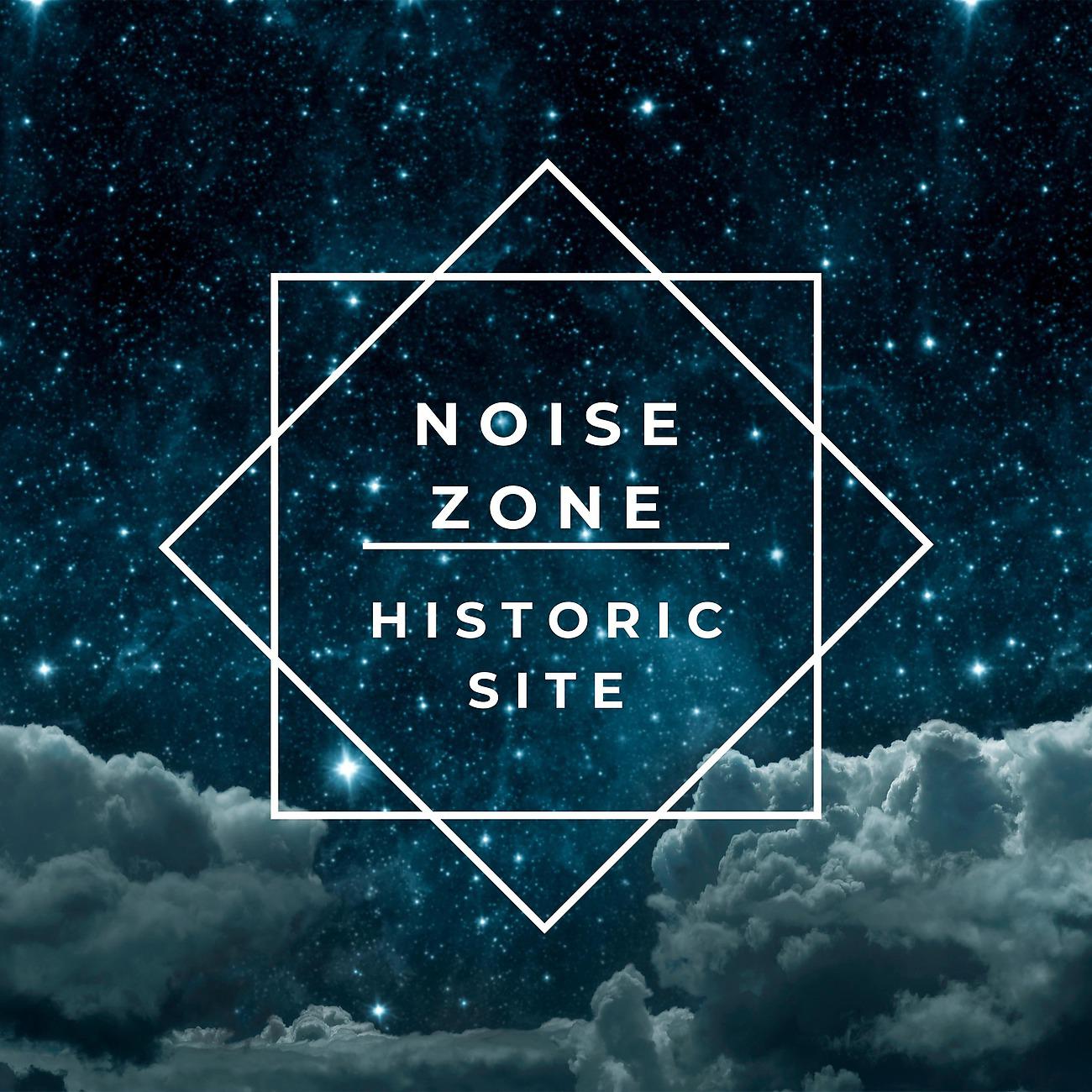 Постер альбома Noise Zone