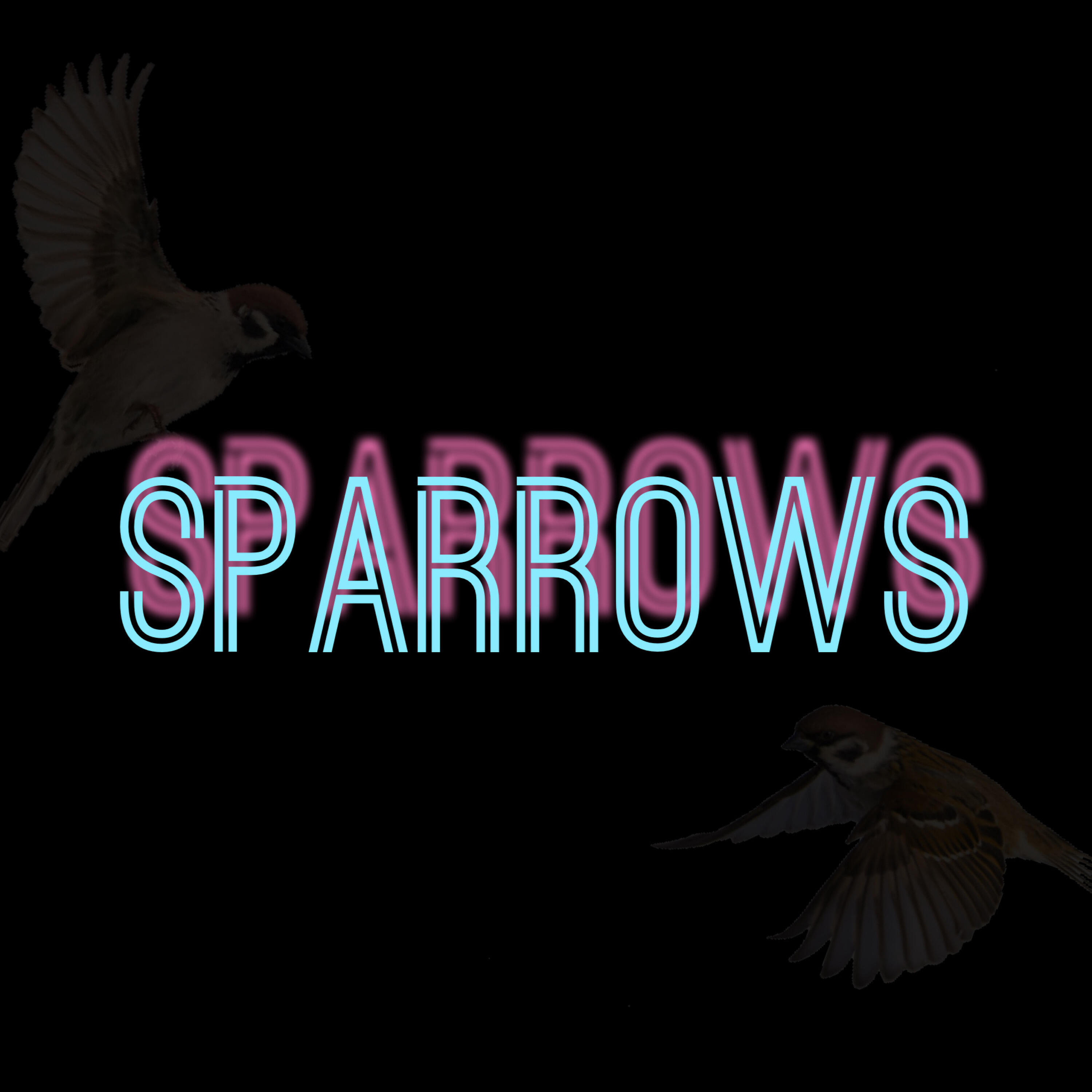 Iakopo - Sparrows