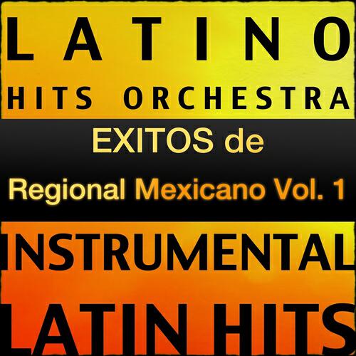 Latino Hits Orchestra - Tuvo Que Tubo Tuvo