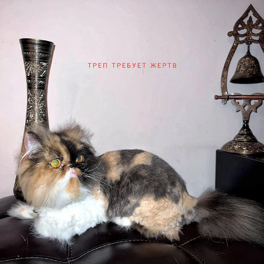 КопытоГагарина - Клубная