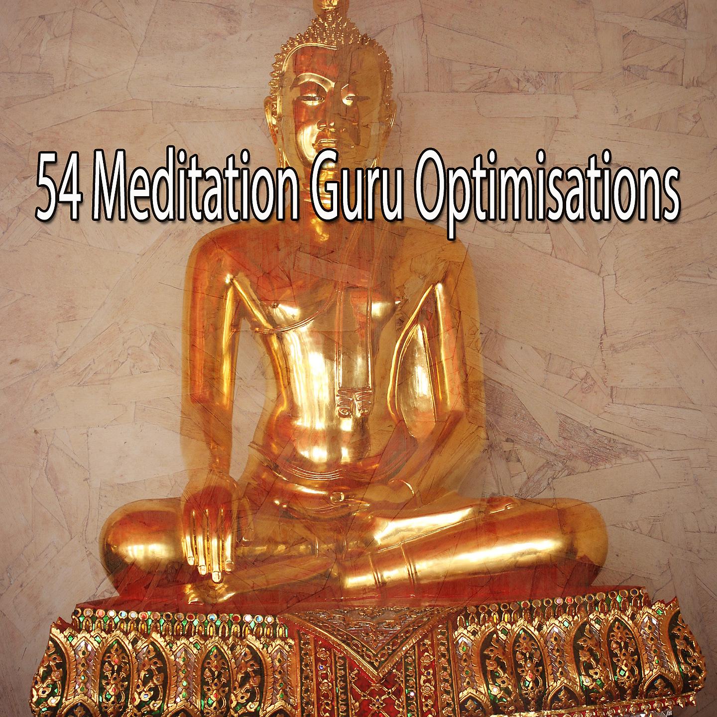 Постер альбома 54 Оптимизация для гуру медитации