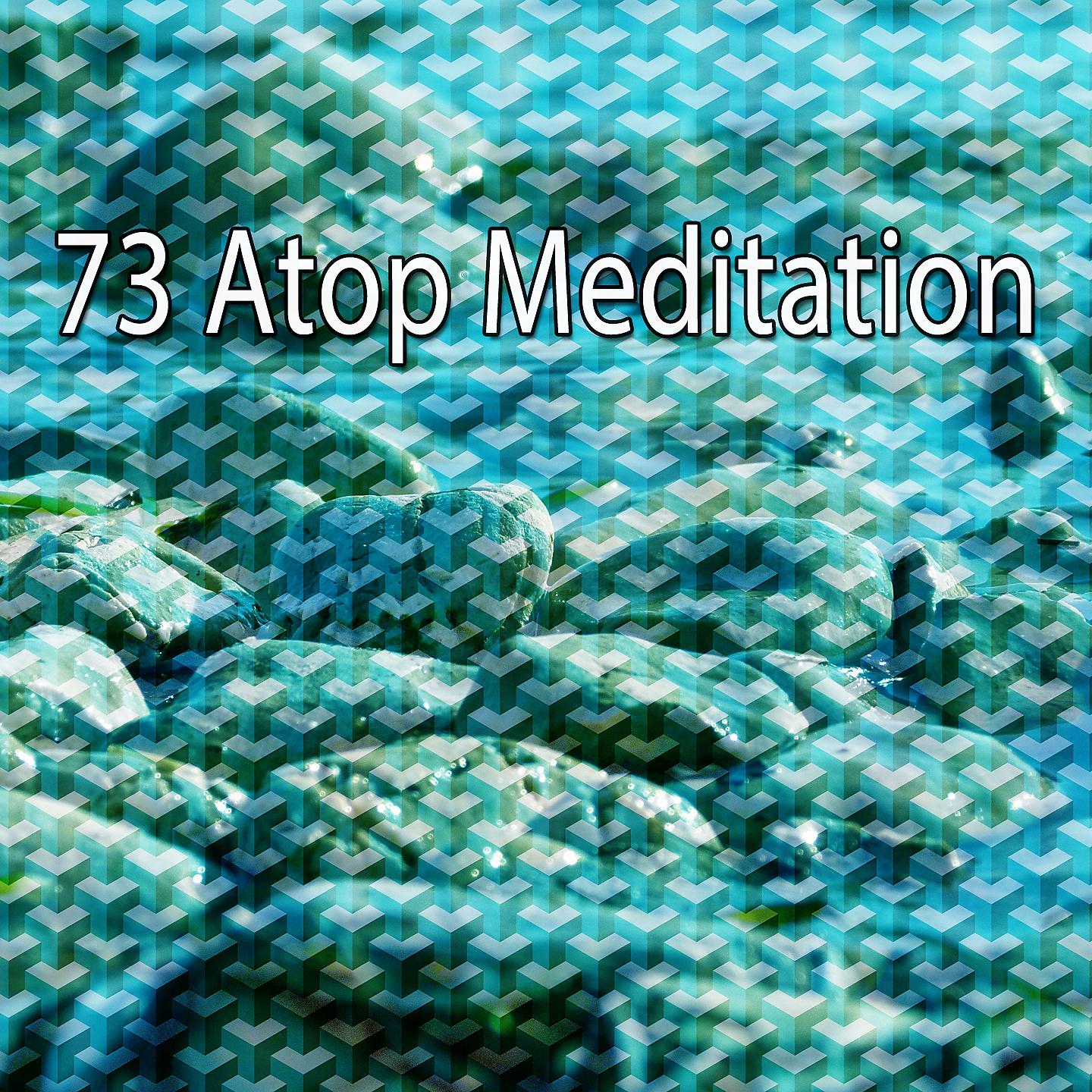 Постер альбома 73 На вершине медитации