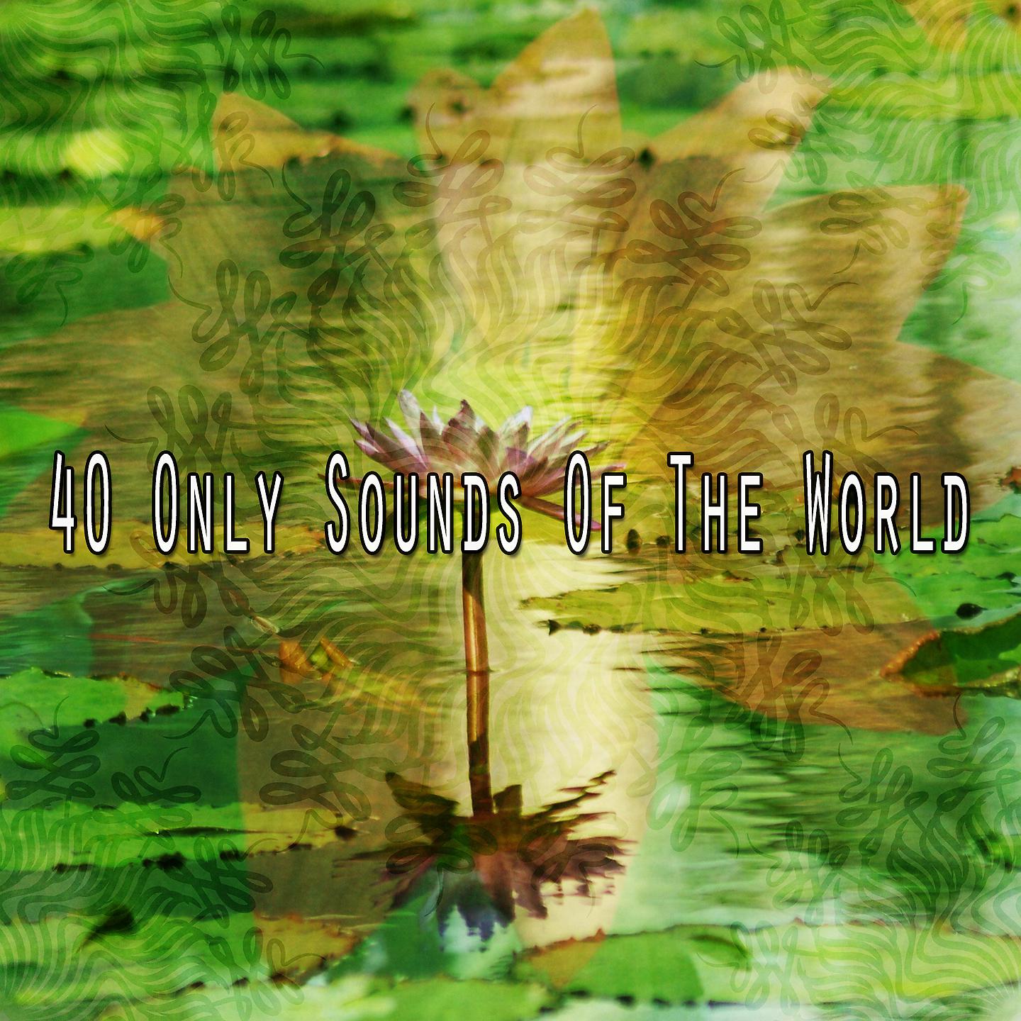 Постер альбома 40 только звуков мира