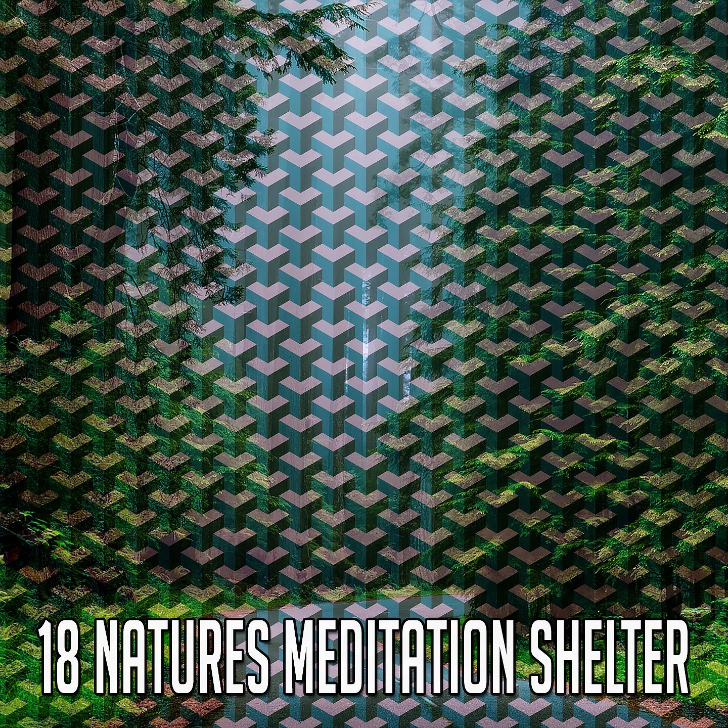 Постер альбома 18 Приют для медитации природы