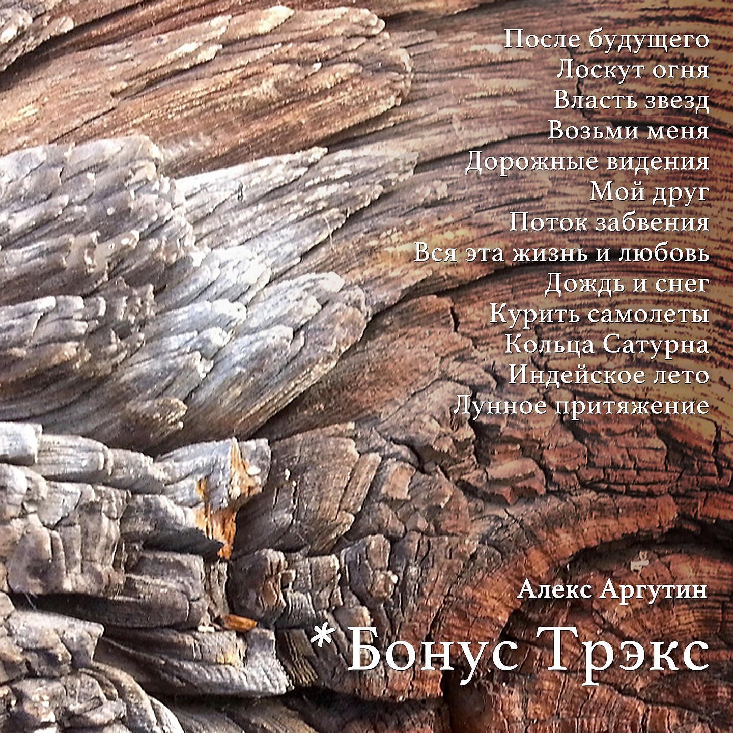 Альбом Бонус Трэкс исполнителя Алекс Аргутин