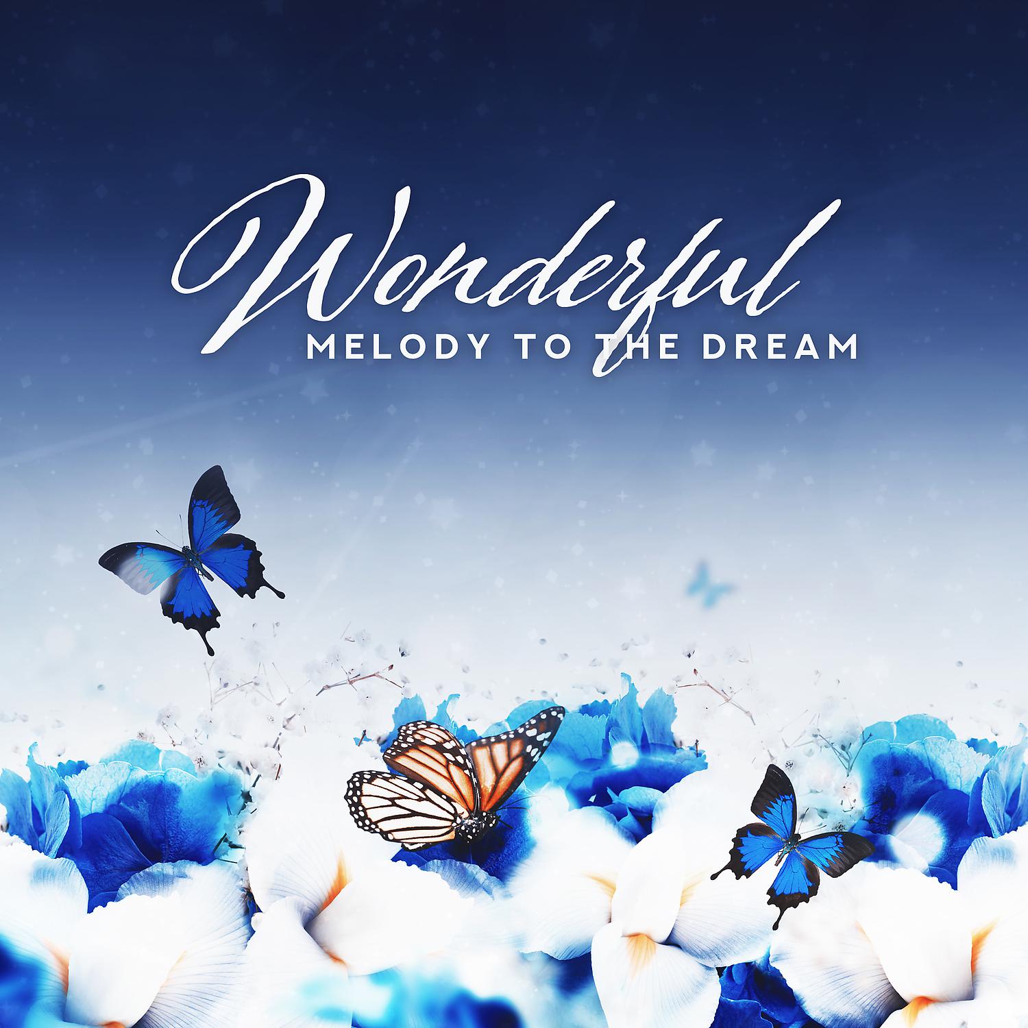 Постер альбома Wonderful Melody to the Dream